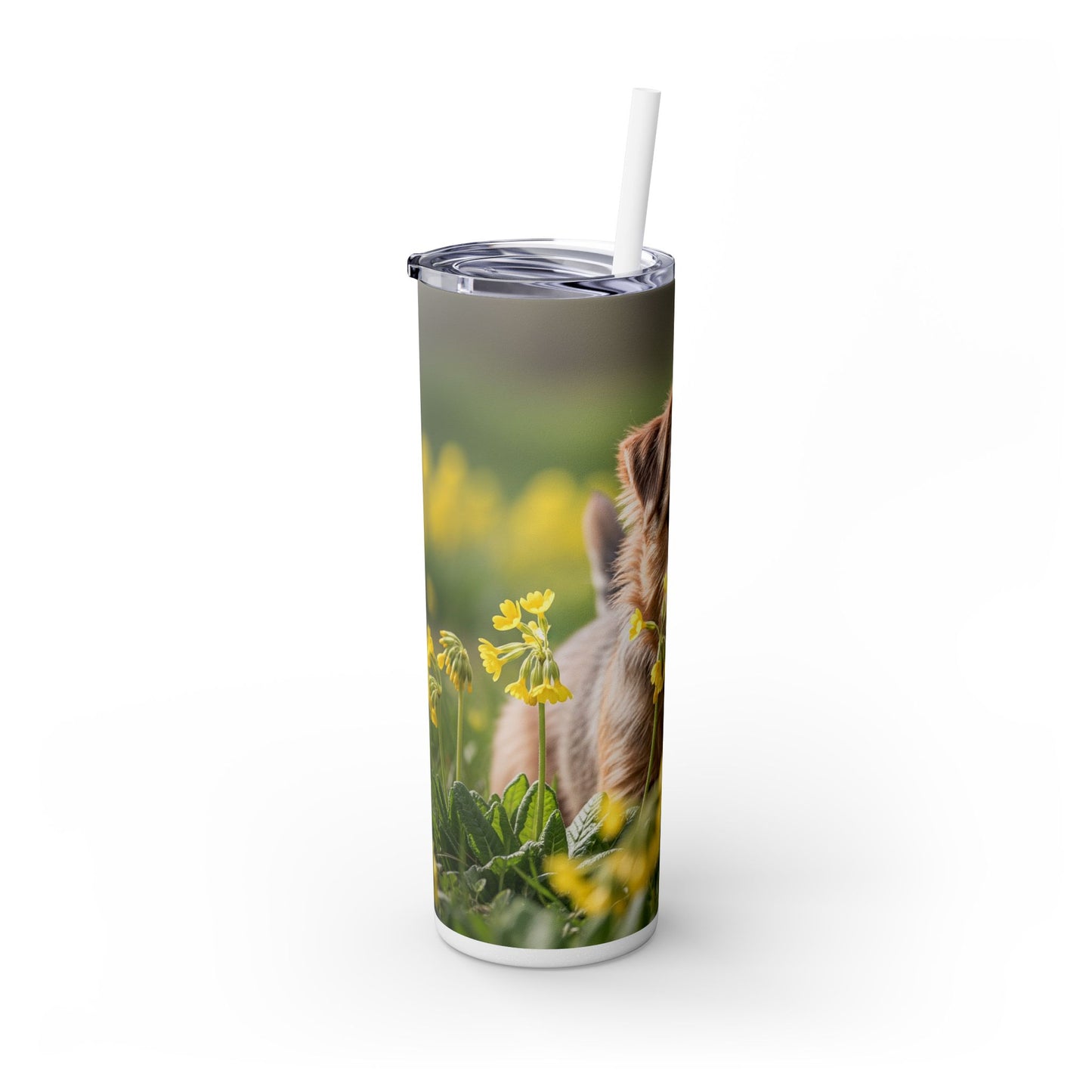 Norfolk Terrier Skinny Tumbler with Straw, 20oz