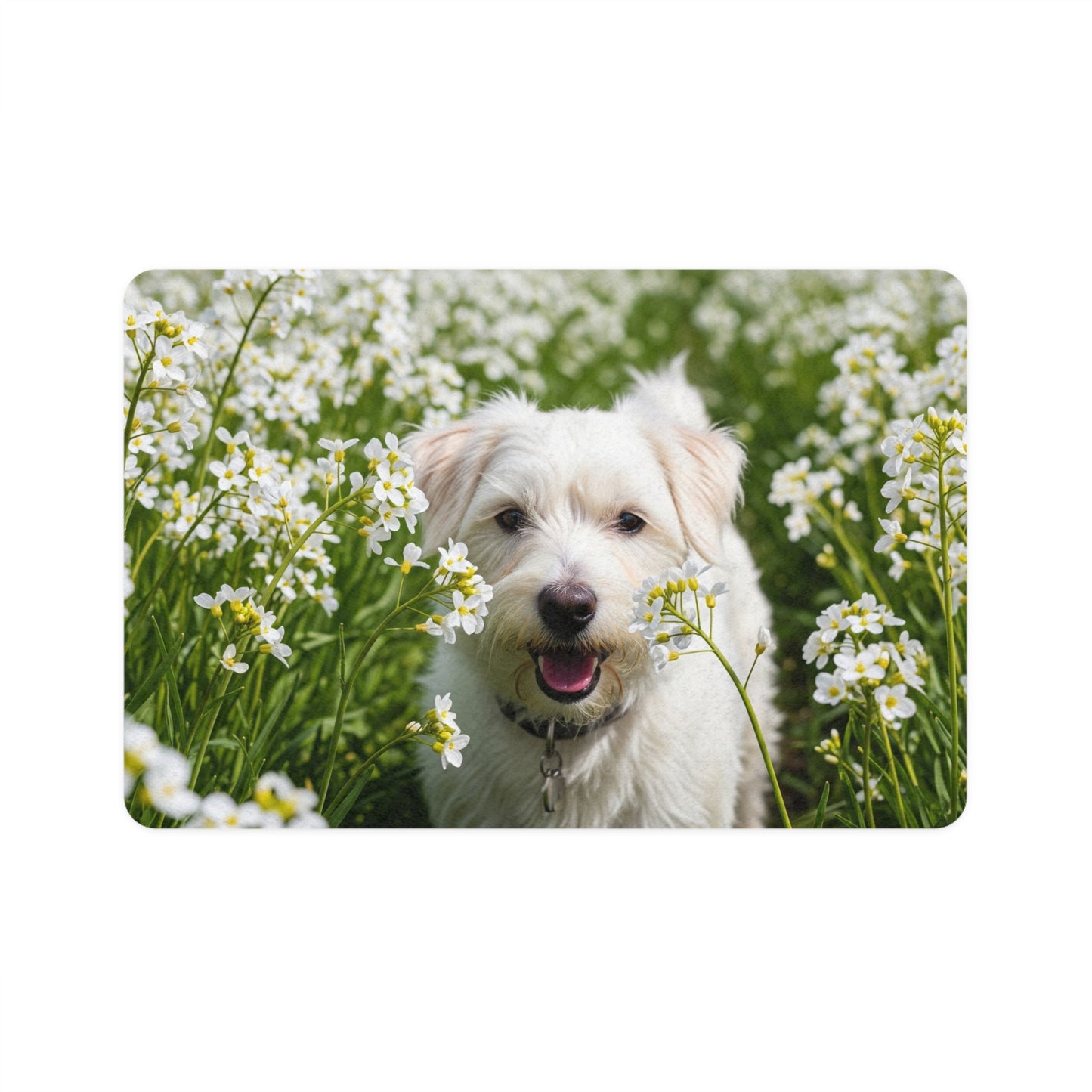 Pet Food Mat (12x18) - Kromfohrlander