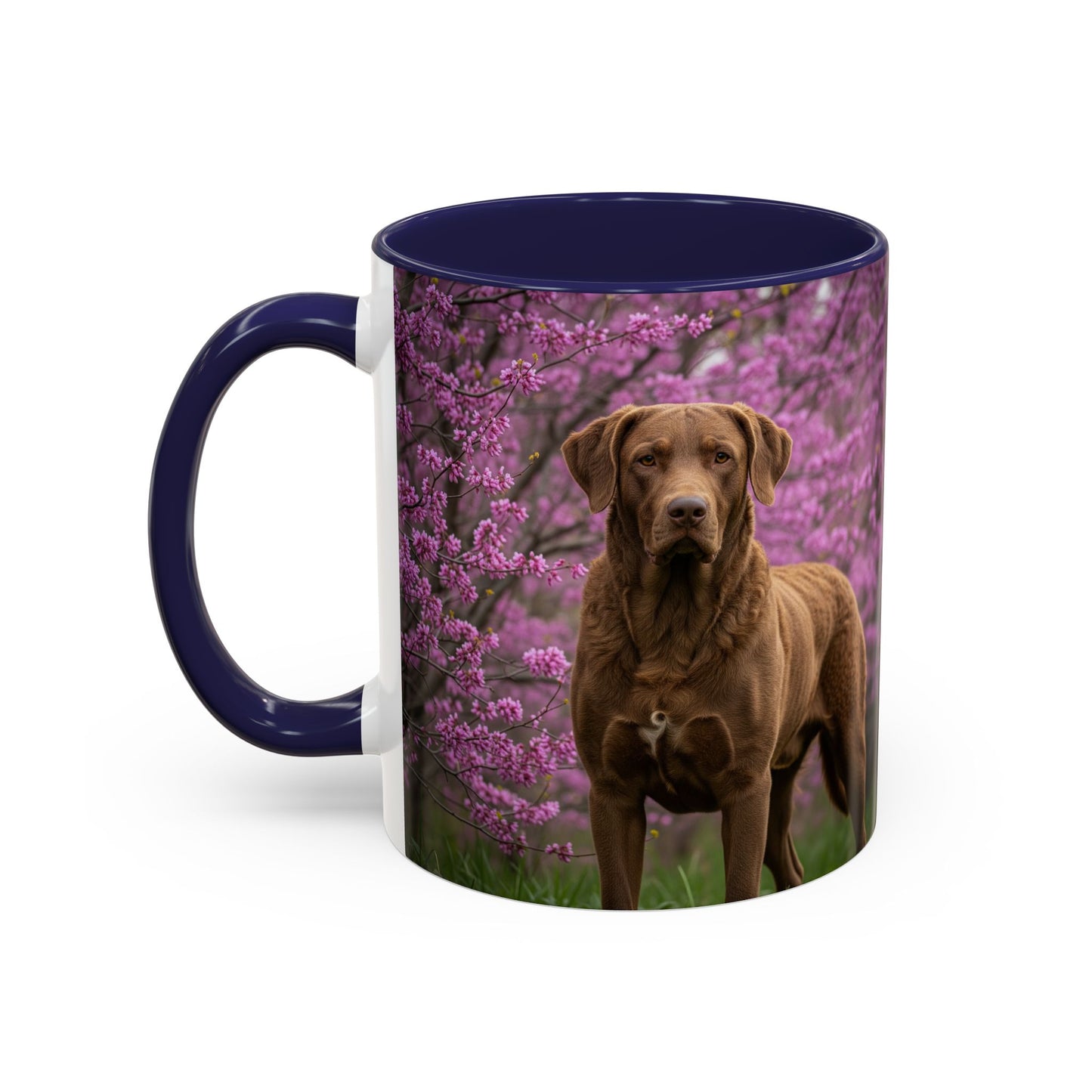 Chesapeake Bay Retriever Accent Coffee Mug - Perfect Gift for Dog Lovers