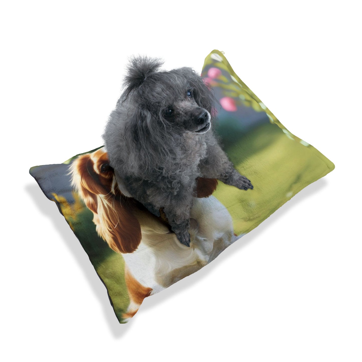 King Charles Spaniel Pet Bed