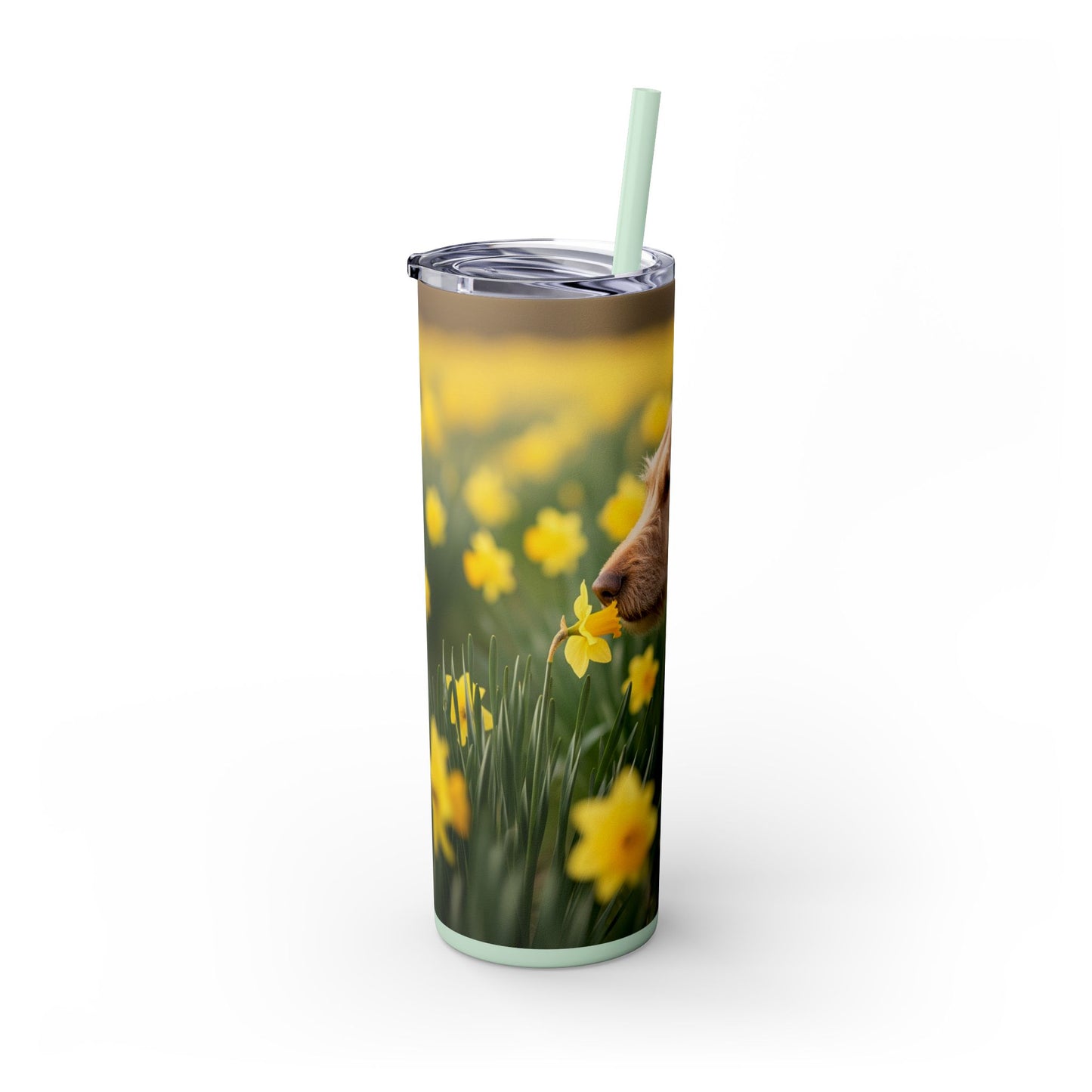 Portuguese Podengo Pequeno Skinny Tumbler with Straw, 20oz