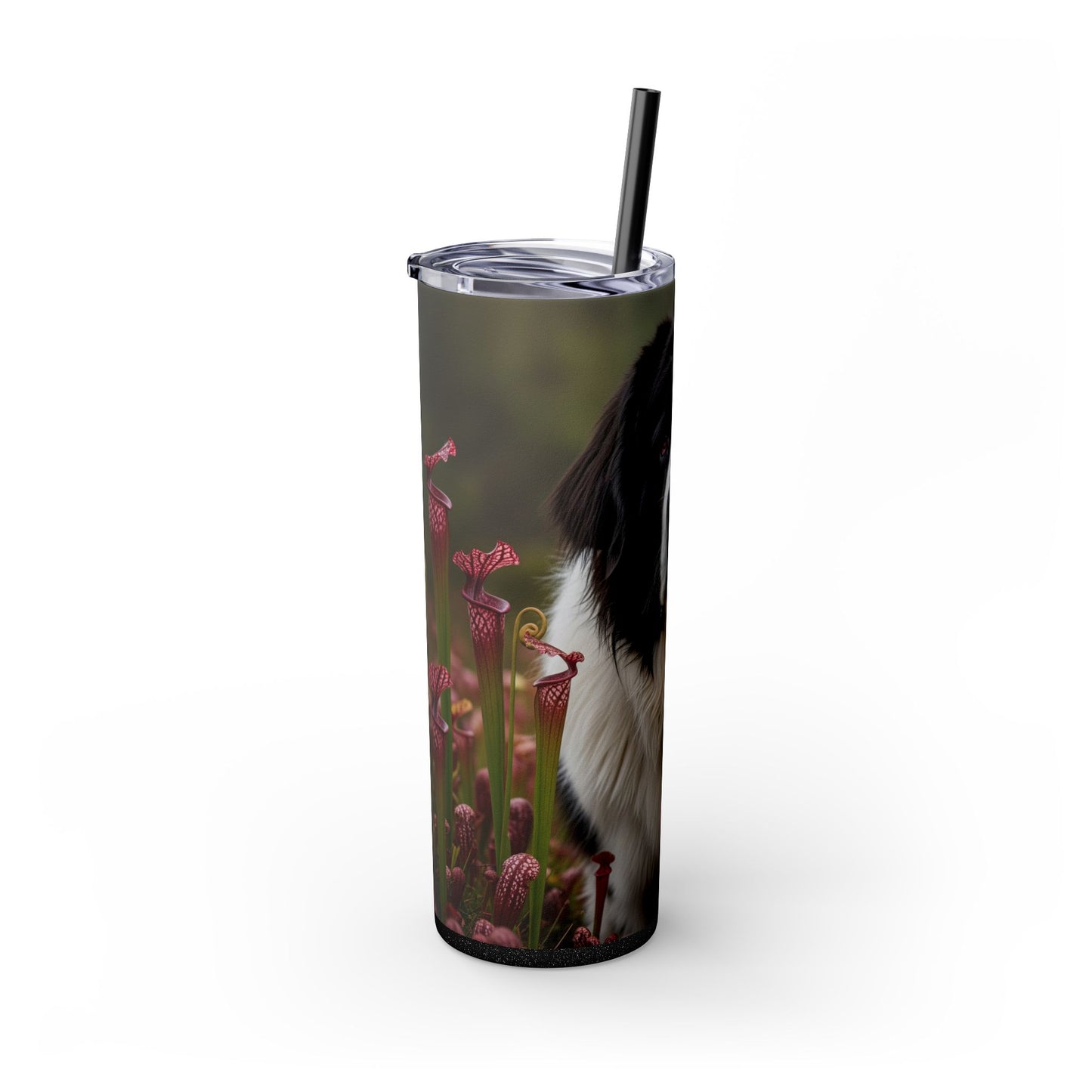 Landseer Tumbler with Straw, 20oz