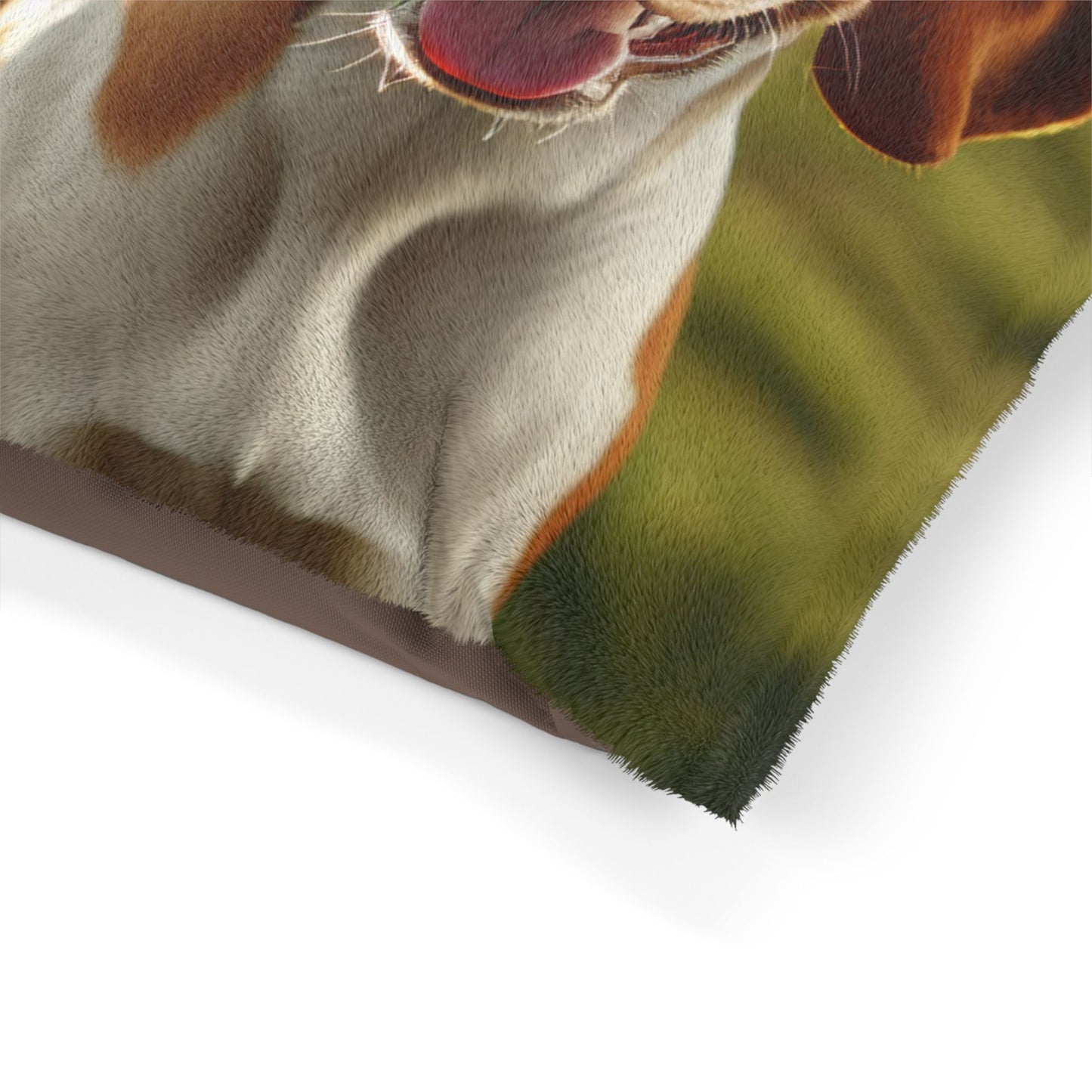Bracco Italiano Pet Bed