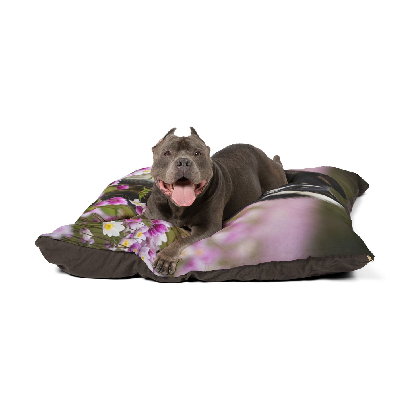 Karelian Bear Dog Pet Bed