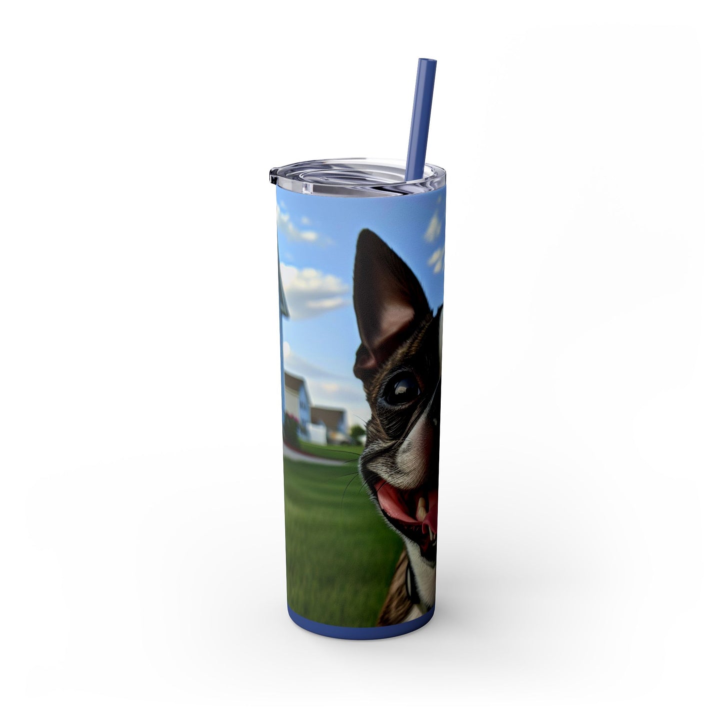 Boston Terrier Tumbler with Straw, 20oz