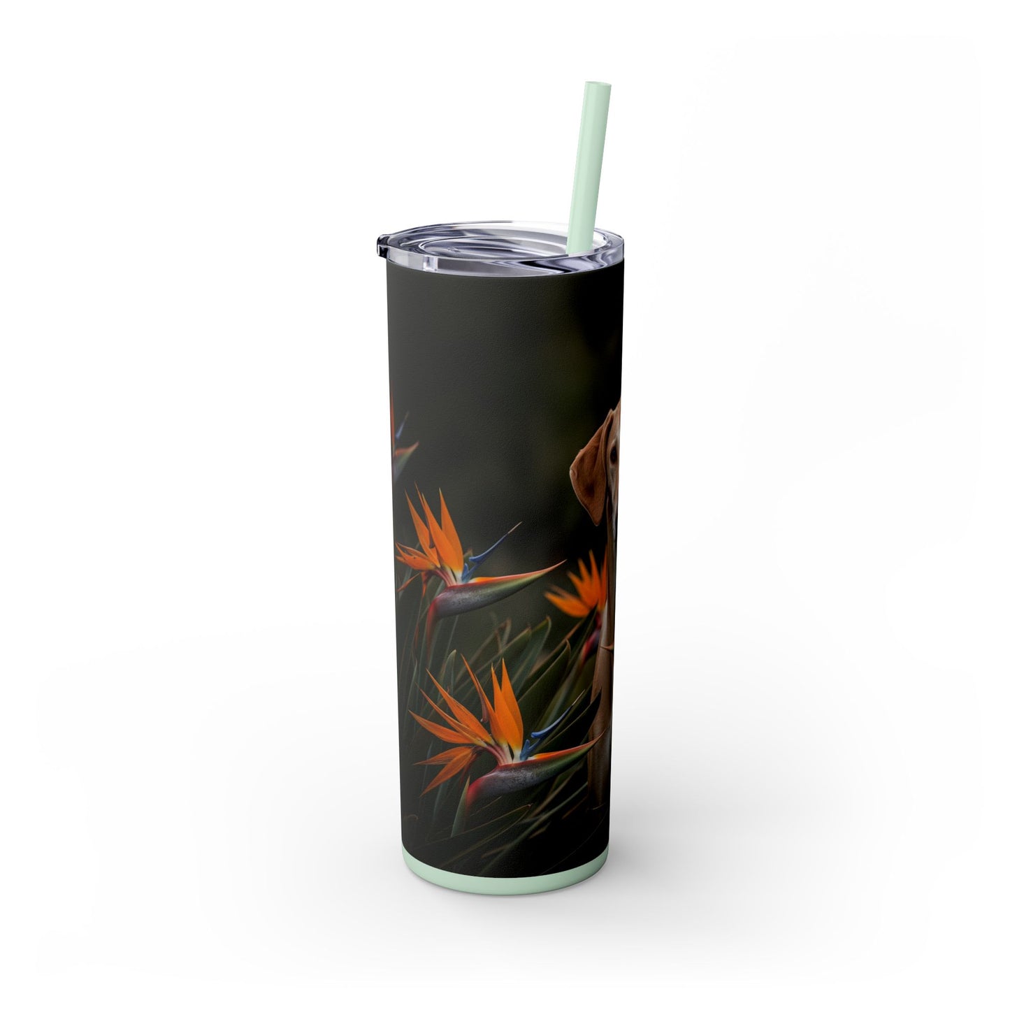 Azawakh Tumbler with Straw, 20oz