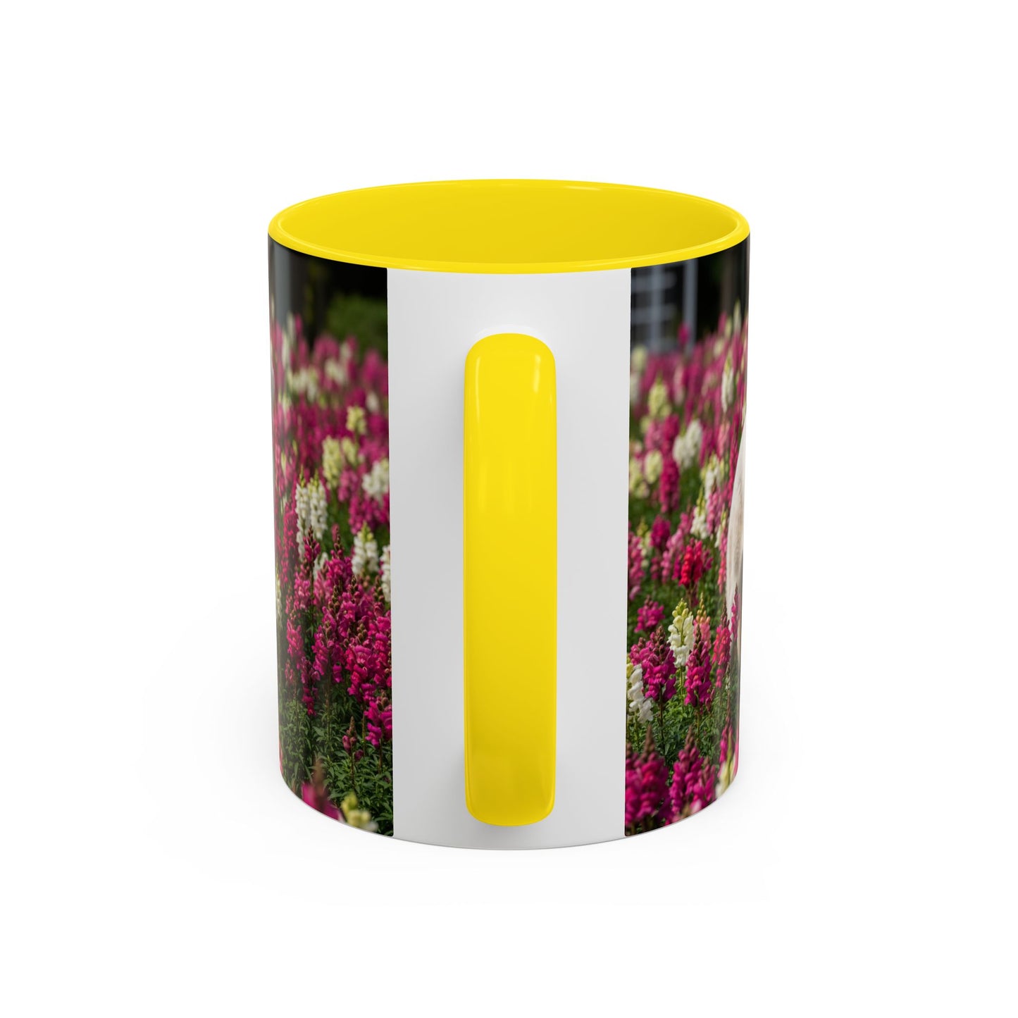 Estrela Mountain Dog Accent Coffee Mug - Perfect Gift for Dog Lovers