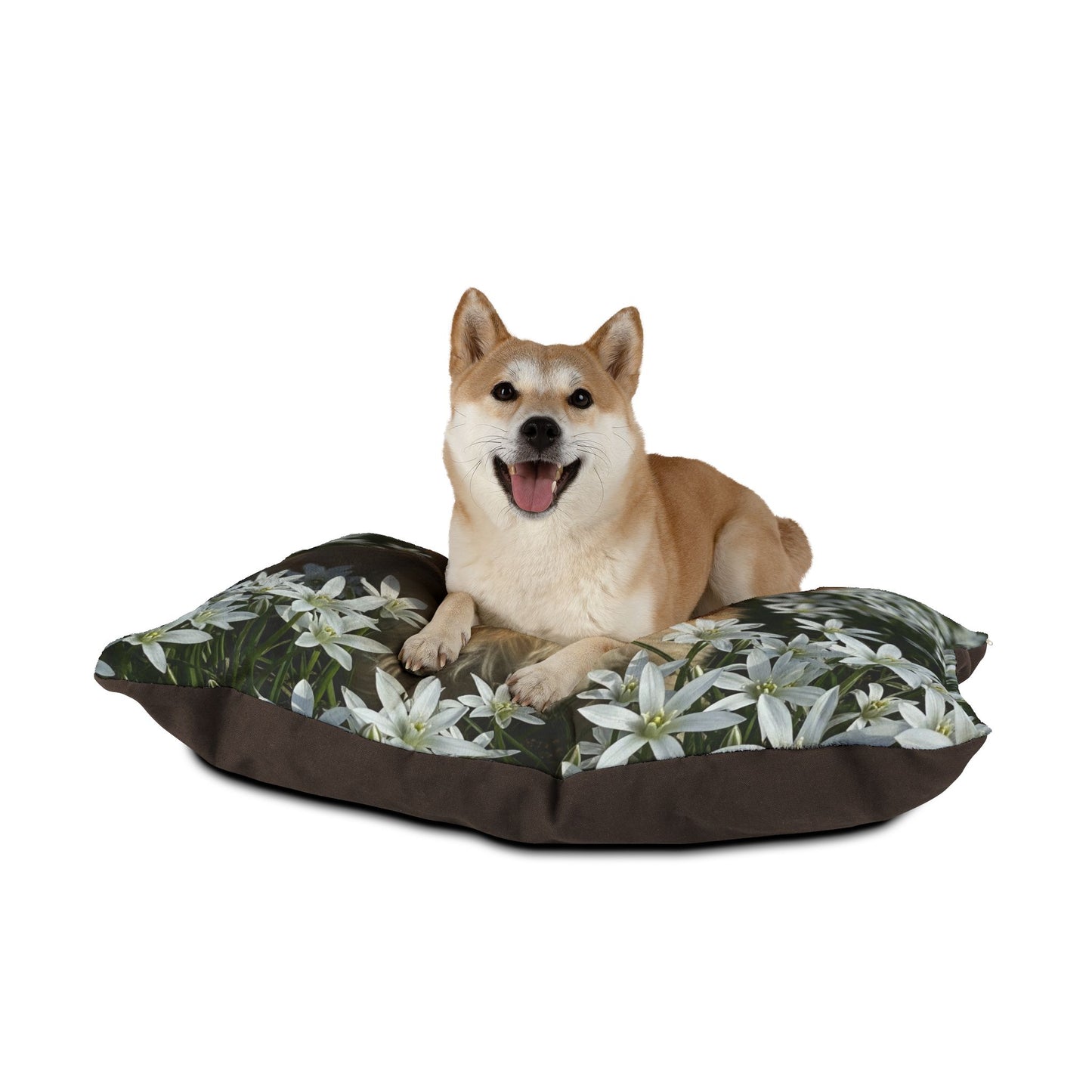 Morkie Pet Bed