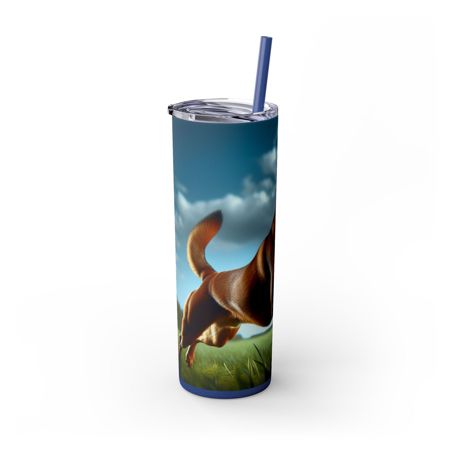 Kanni Tumbler with Straw, 20oz