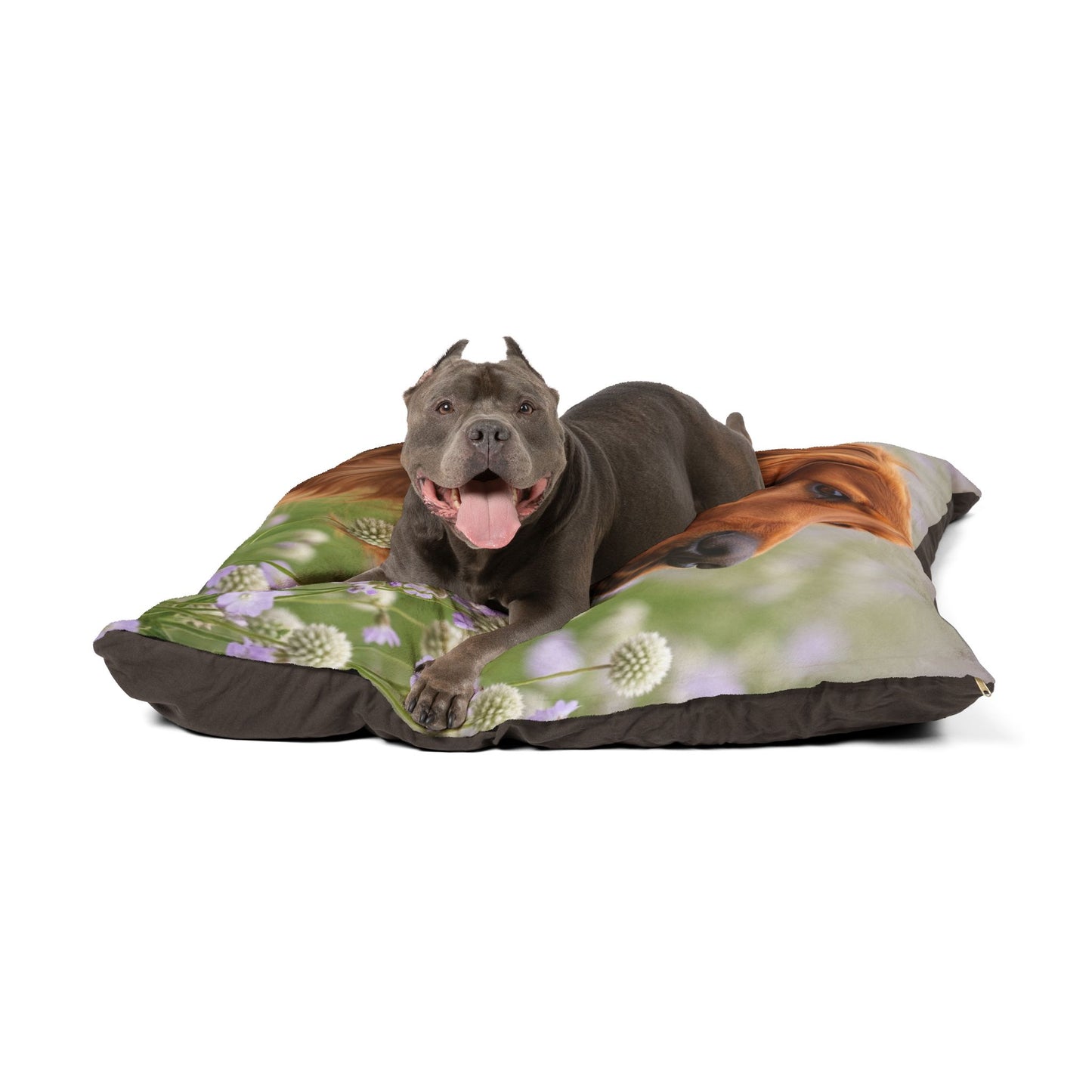 Sussex Spaniel Pet Bed