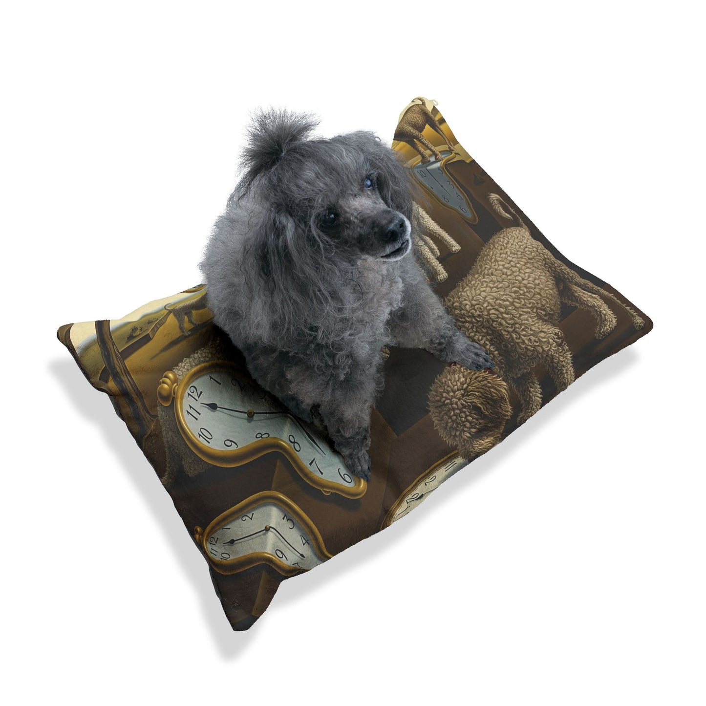 Spanish Water Dog Pet Bed