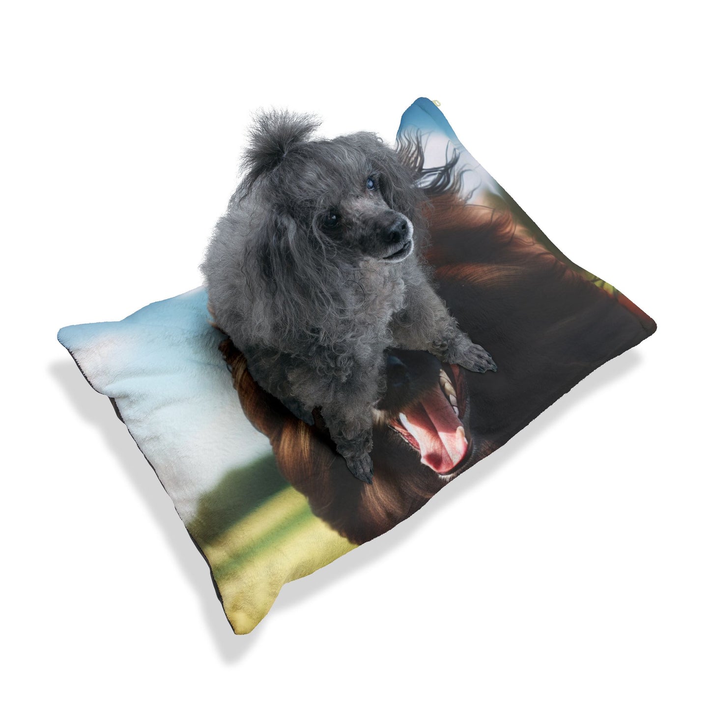 Belgian Shepherd Dog Tervuren Pet Bed