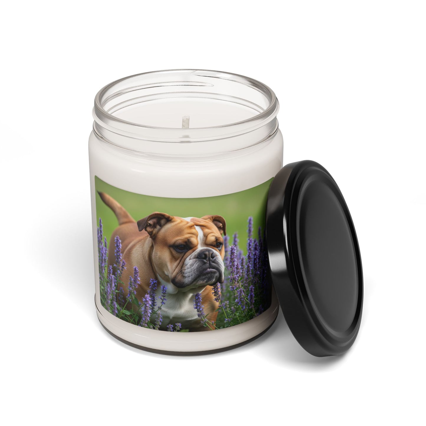 Vela de soja perfumada con Bulldog británico, 9 oz