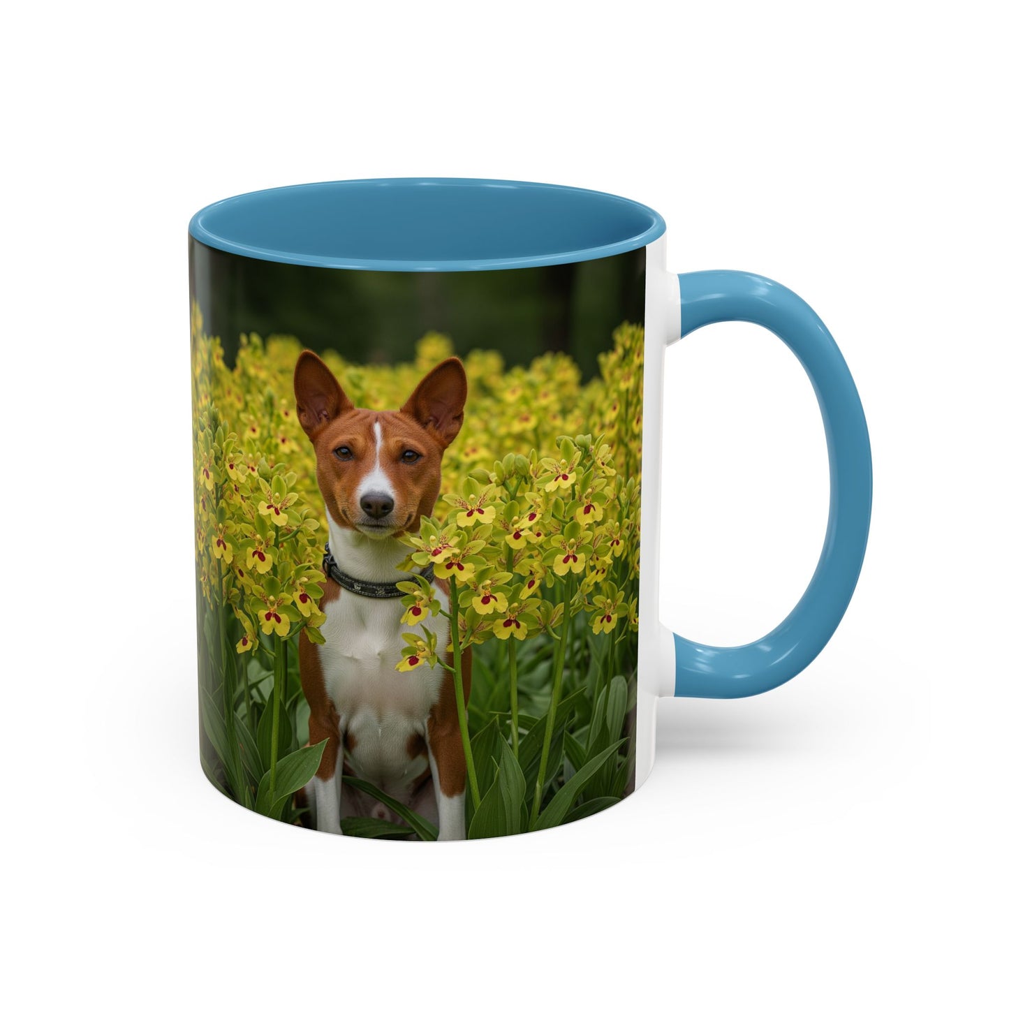 Basenji Accent Coffee Mug - Perfect Gift for Dog Lovers