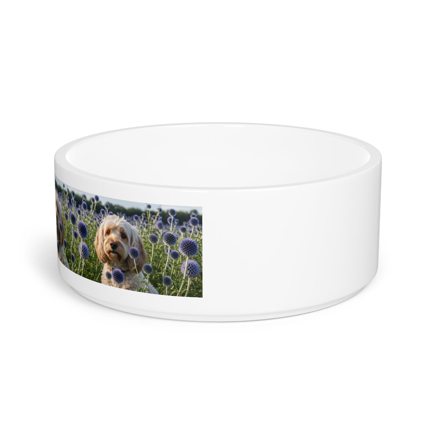 Spoodle Pet Bowl