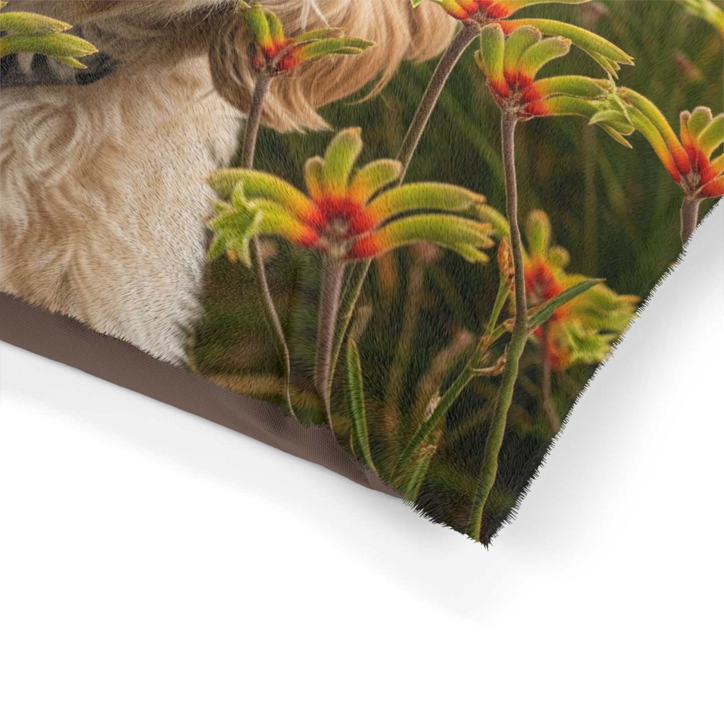 Cavoodle Pet Bed