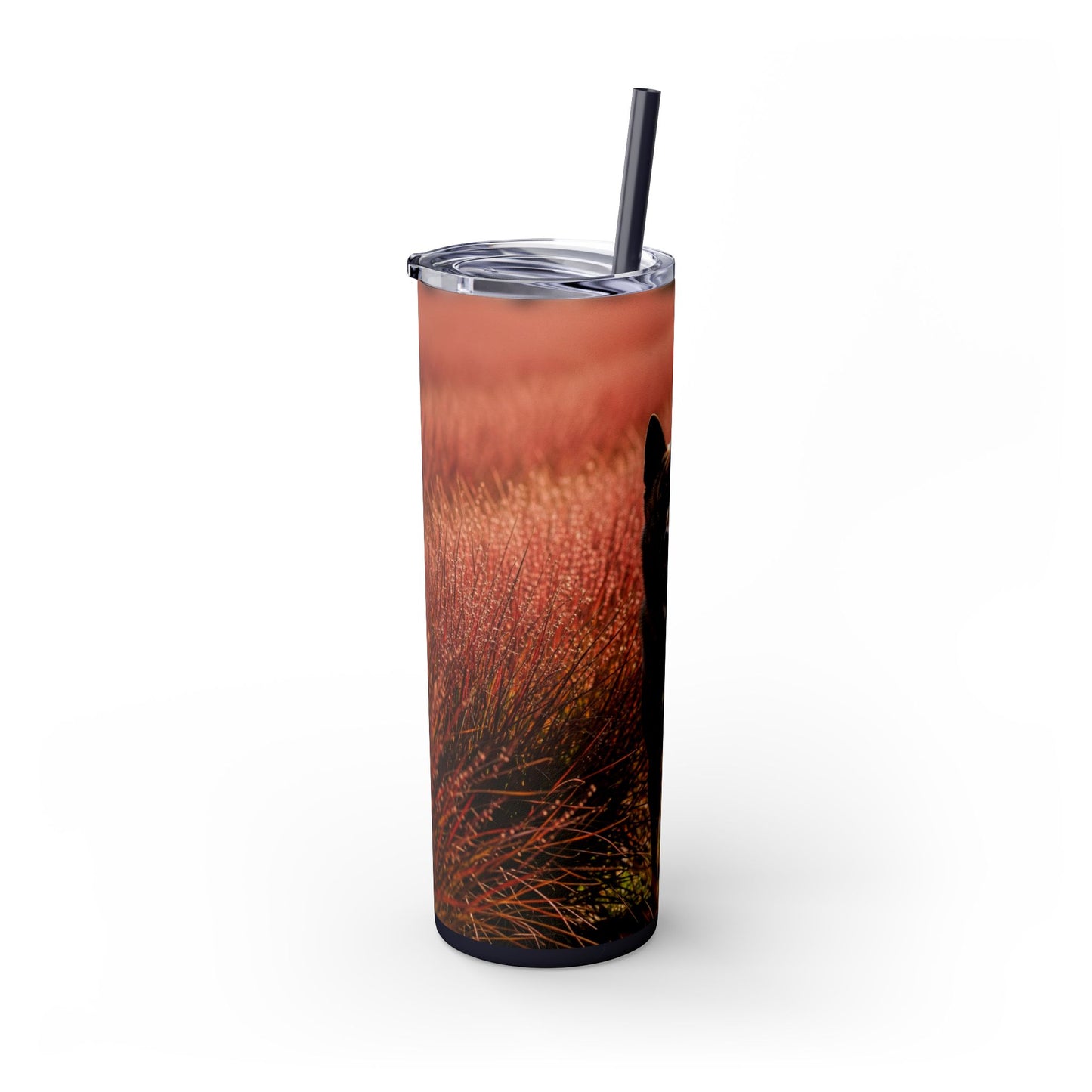 Kai Ken Tumbler with Straw, 20oz