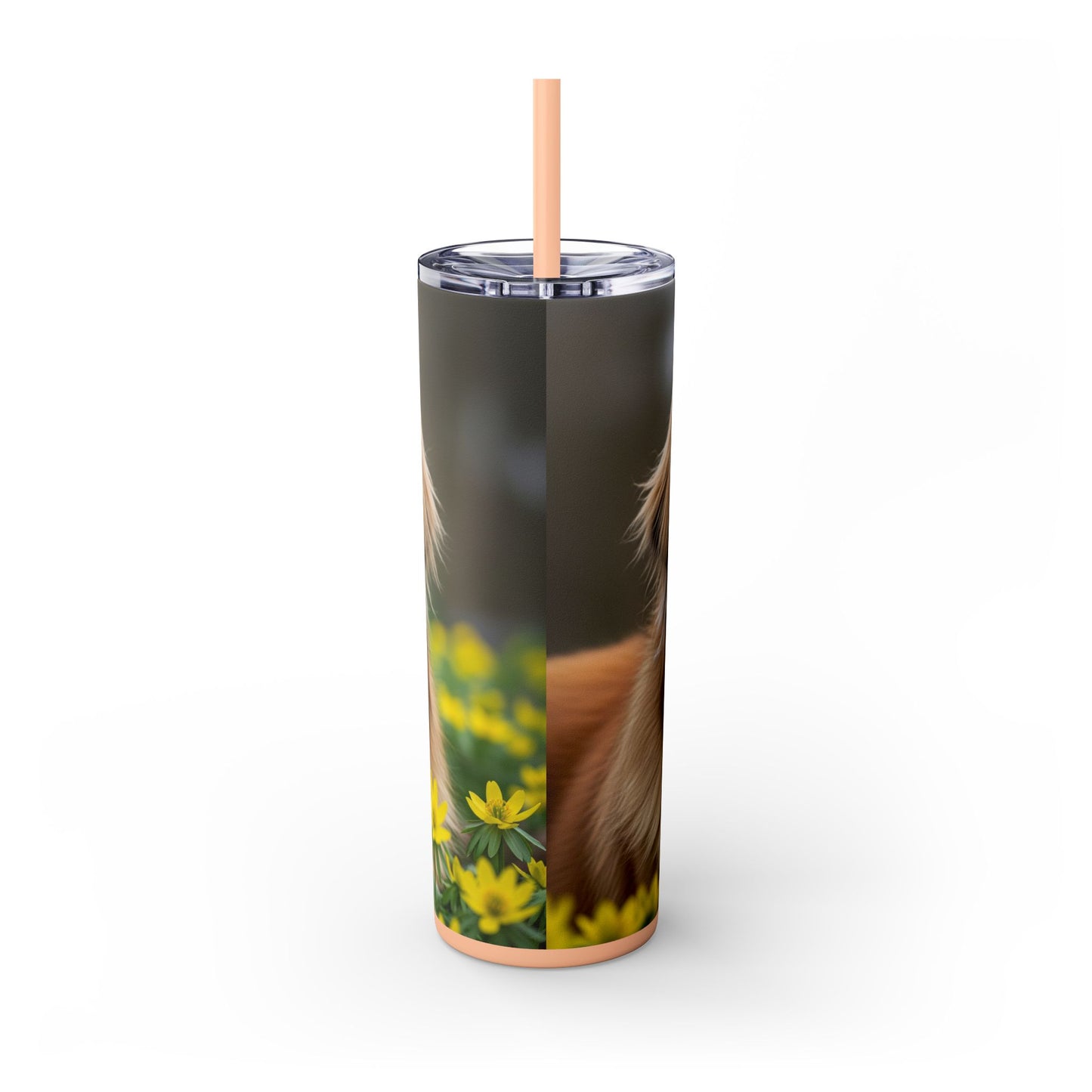Leonberger Tumbler with Straw, 20oz