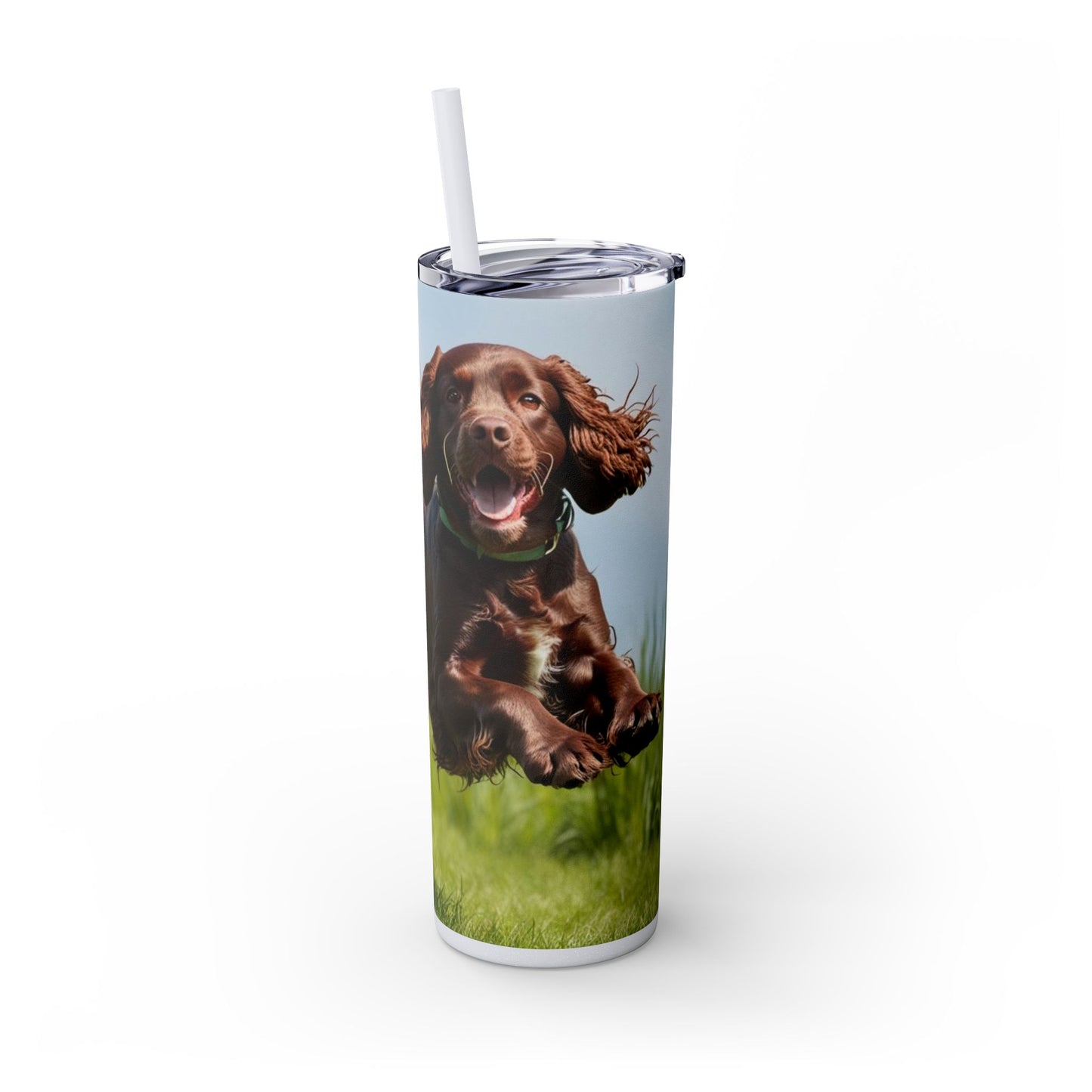 Irish Water Spaniel Tumbler with Straw, 20oz