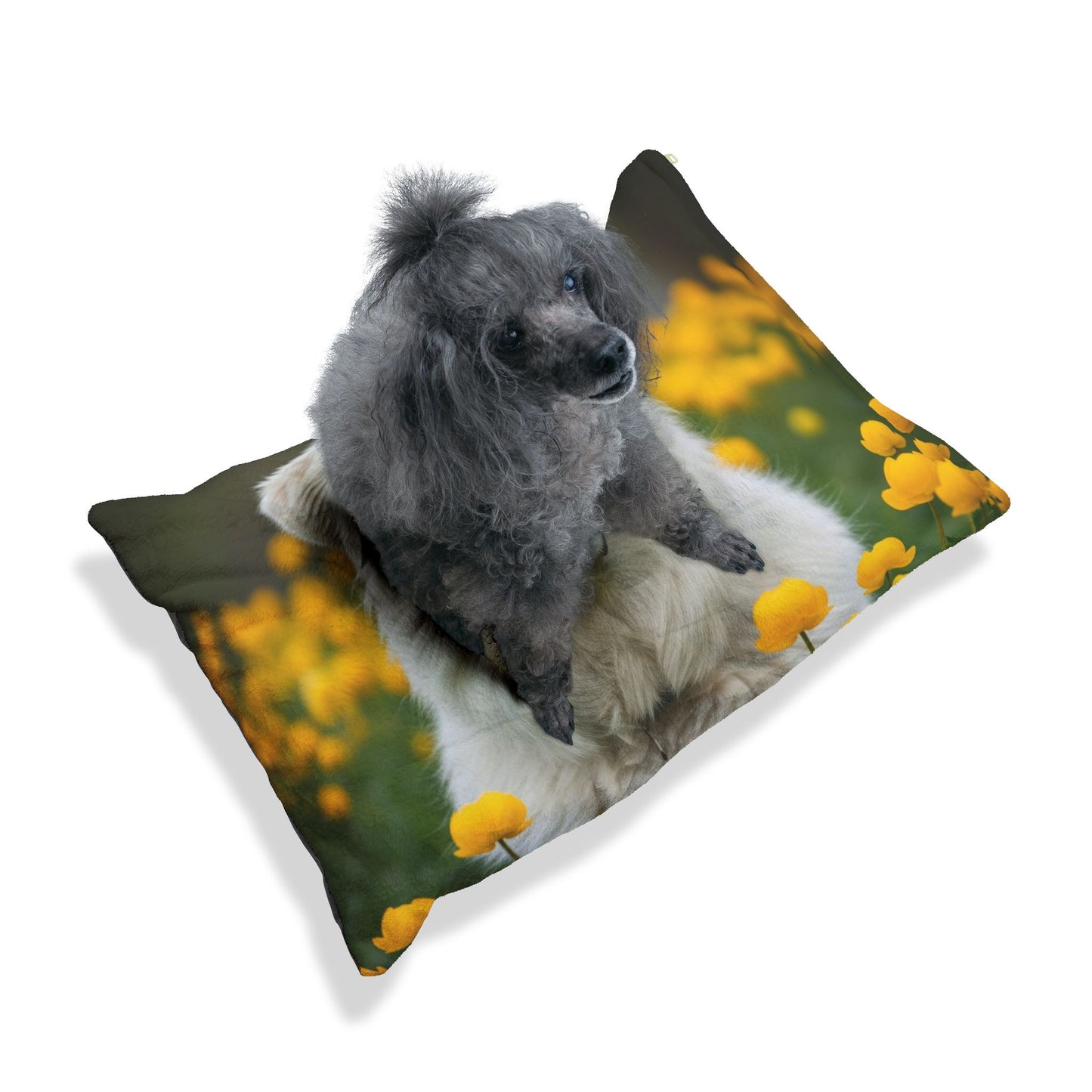 Romanian Mioritic Shepherd Dog Pet Bed