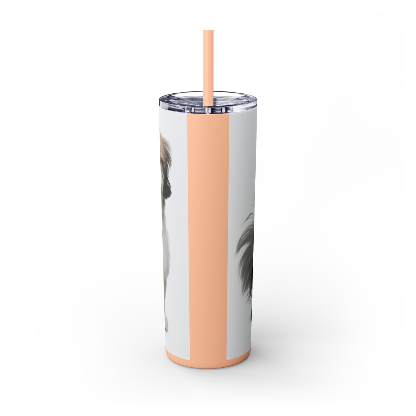 Shihchon Tumbler with Straw, 20oz