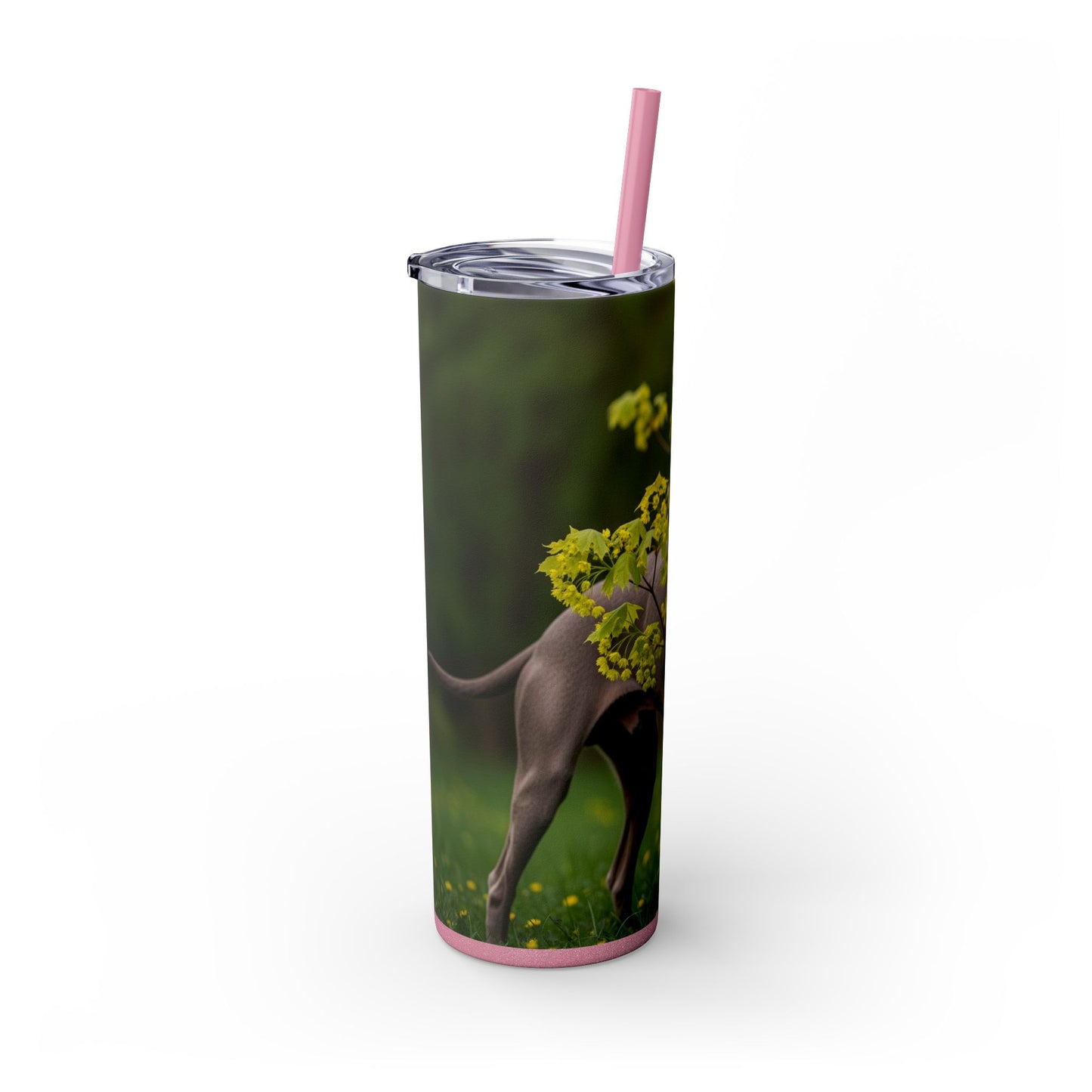 Weimaraner Skinny Tumbler with Straw, 20oz