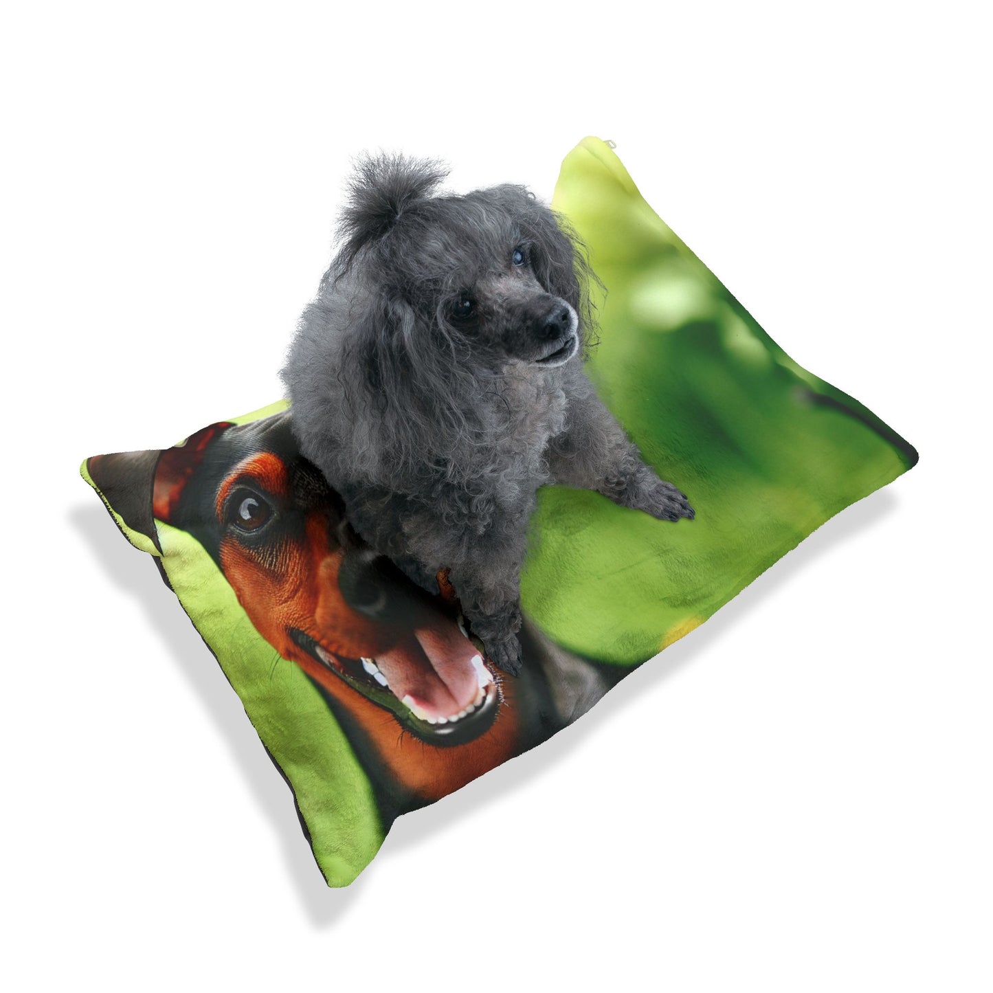 German Pinscher Pet Bed
