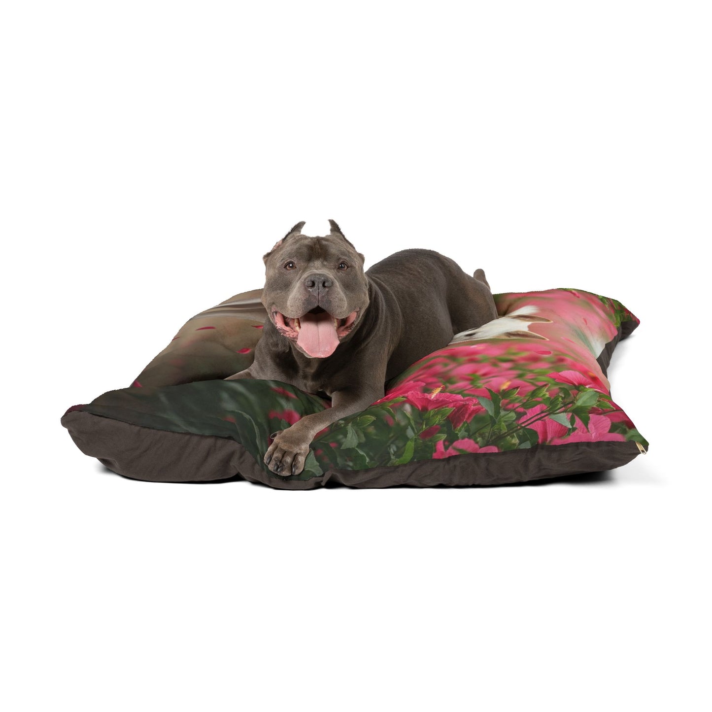 Korean Jindo Dog Pet Bed