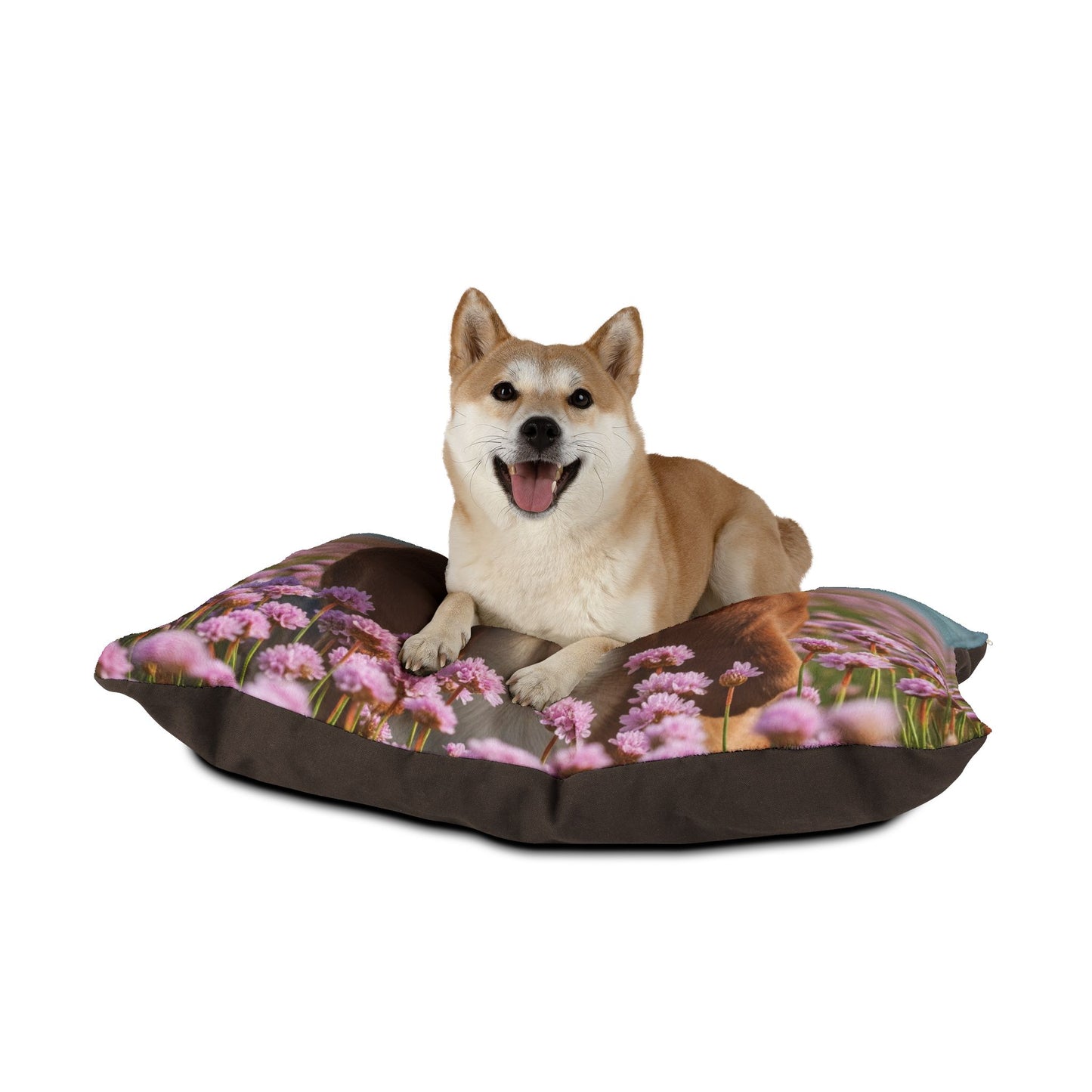 Basset Fauve de Bretagne Pet Bed
