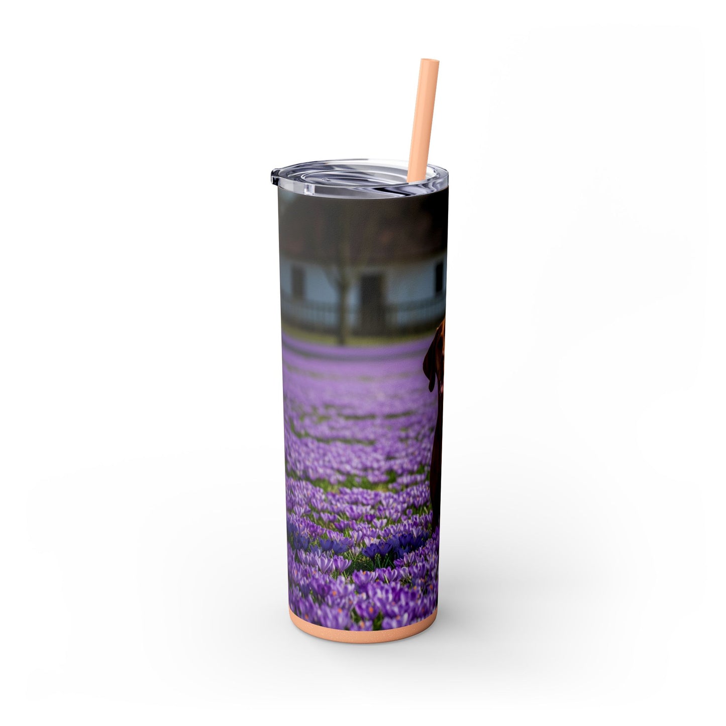 Vizsla Tumbler with Straw, 20oz