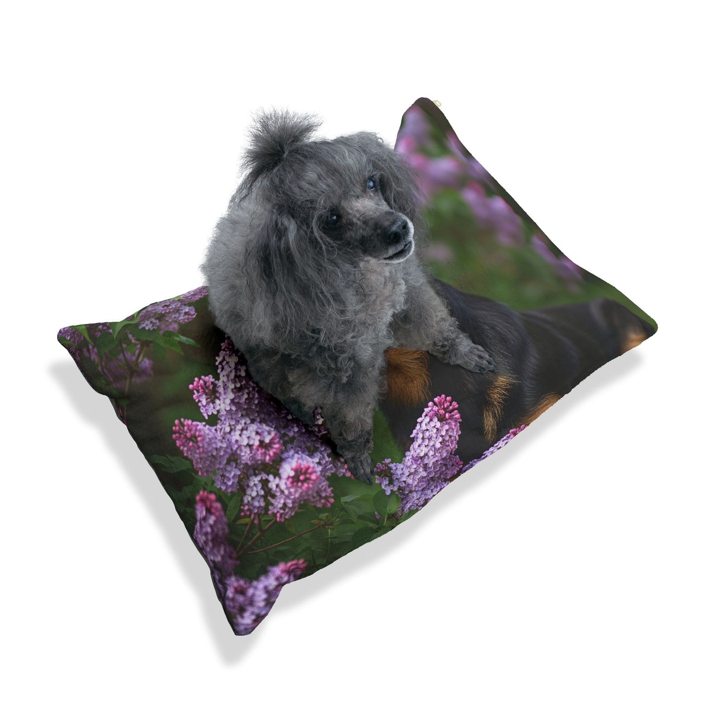 Mudi Pet Bed