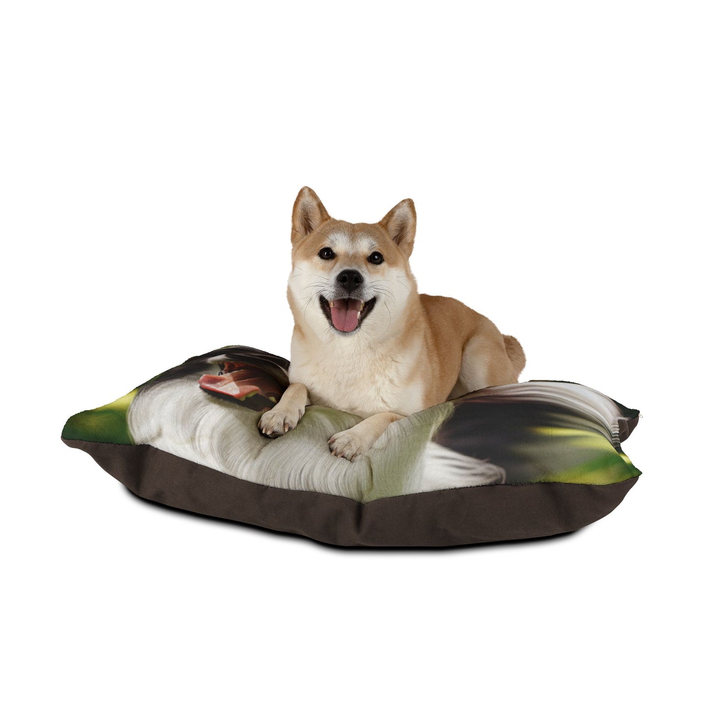 Border Collie Pet Bed