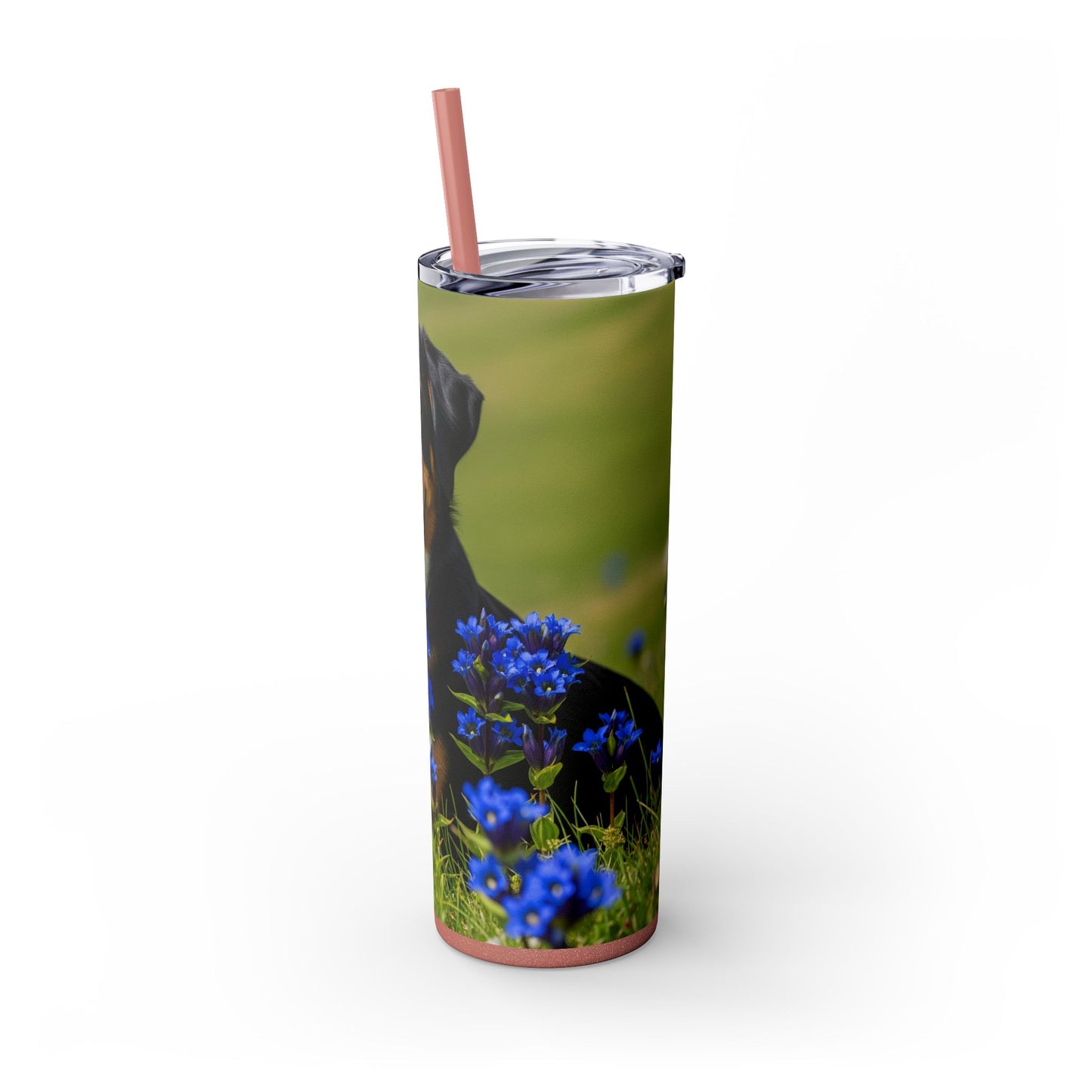 Appenzeller Sennenhund Tumbler with Straw, 20oz