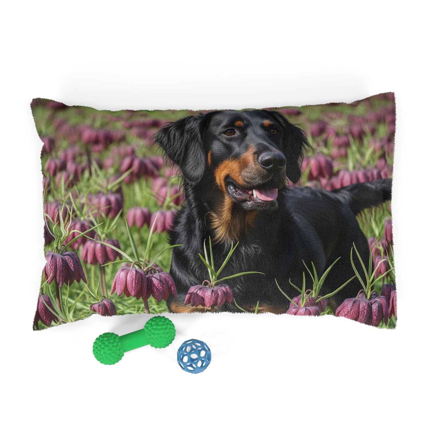 Wetterhoun Pet Bed