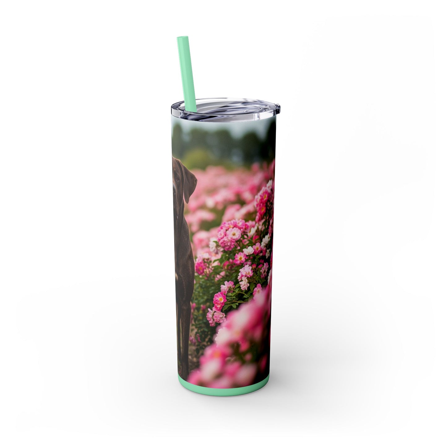 Broholmer Tumbler with Straw, 20oz