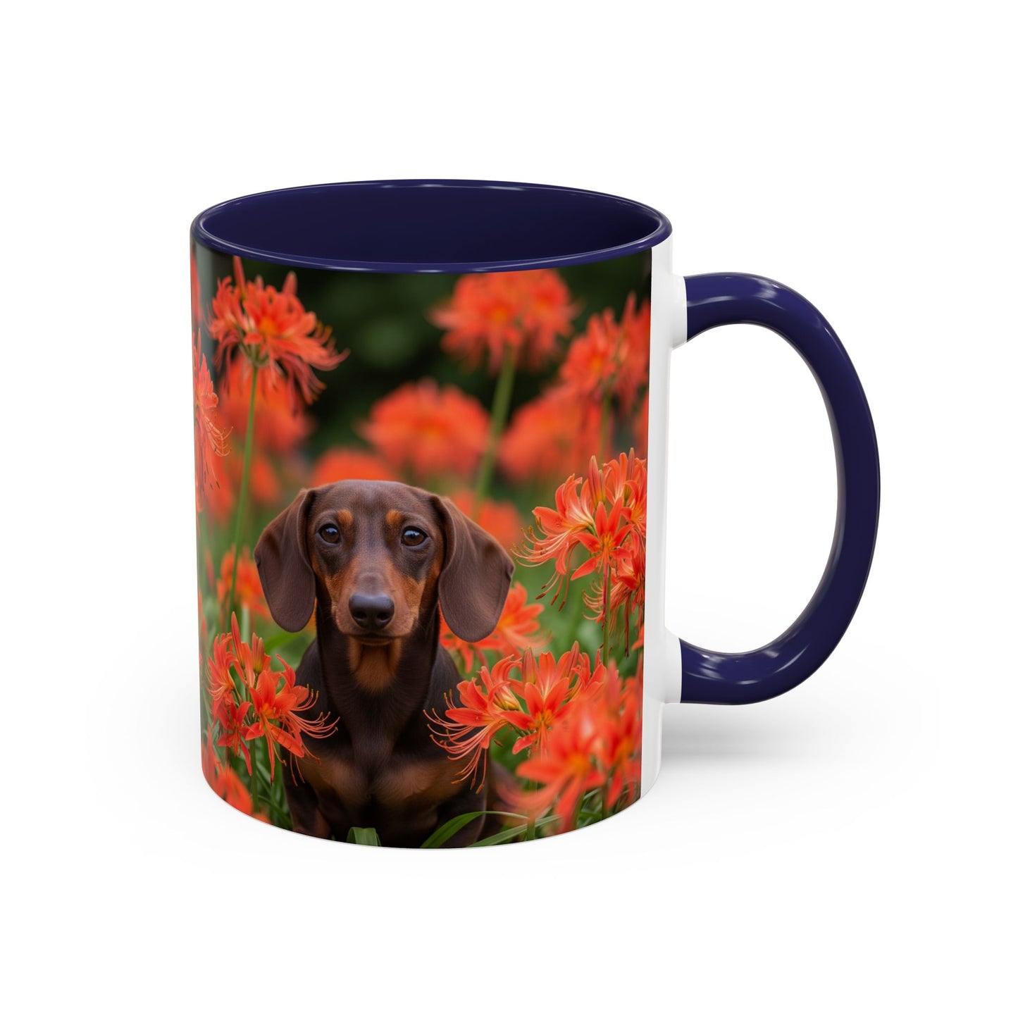 Dachshund Accent Coffee Mug - Perfect Gift for Dog Lovers