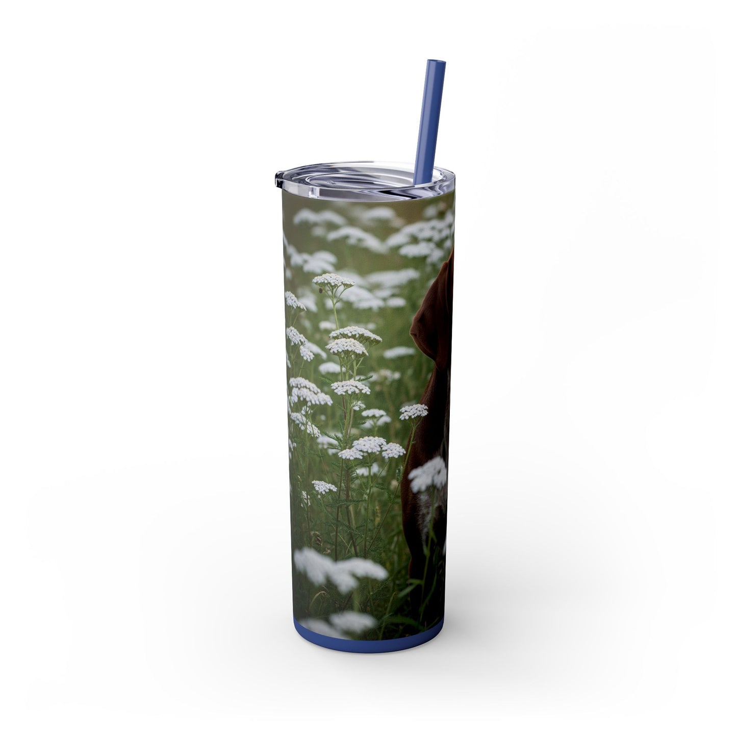 Braque du Bourbonnais Tumbler with Straw, 20oz