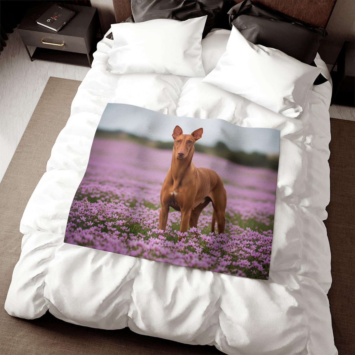 Pharaoh Hound Sweatshirt Blanket
