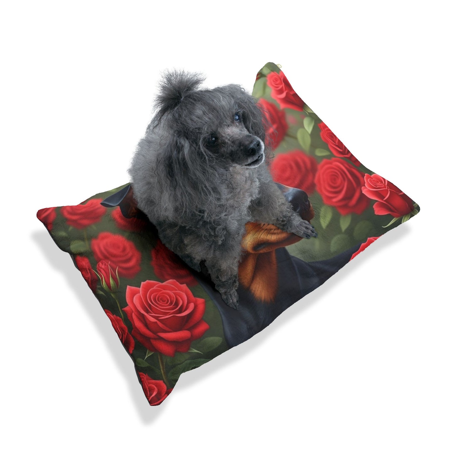 Manchester Terrier Pet Bed