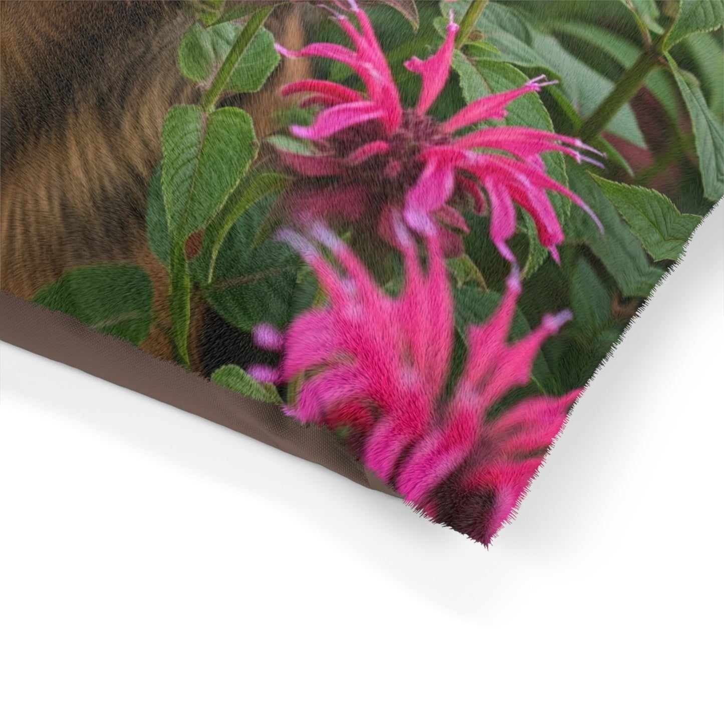 Norwich Terrier Pet Bed