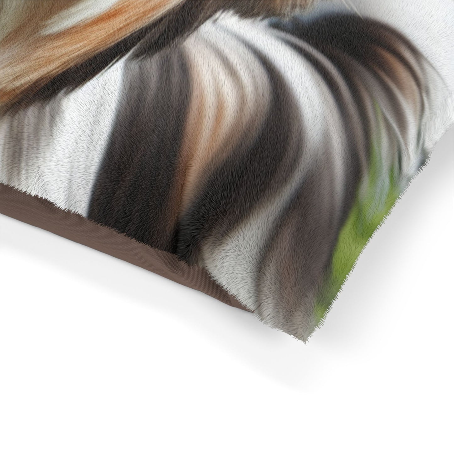 Biewer Terrier Pet Bed