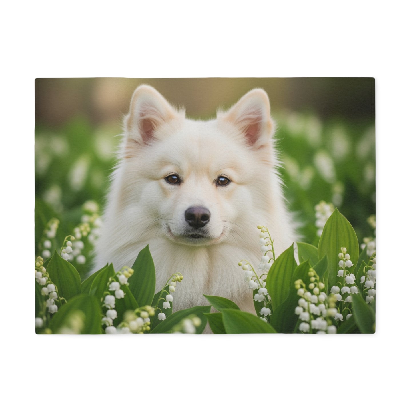 Finnish Lapphund Sweatshirt Blanket