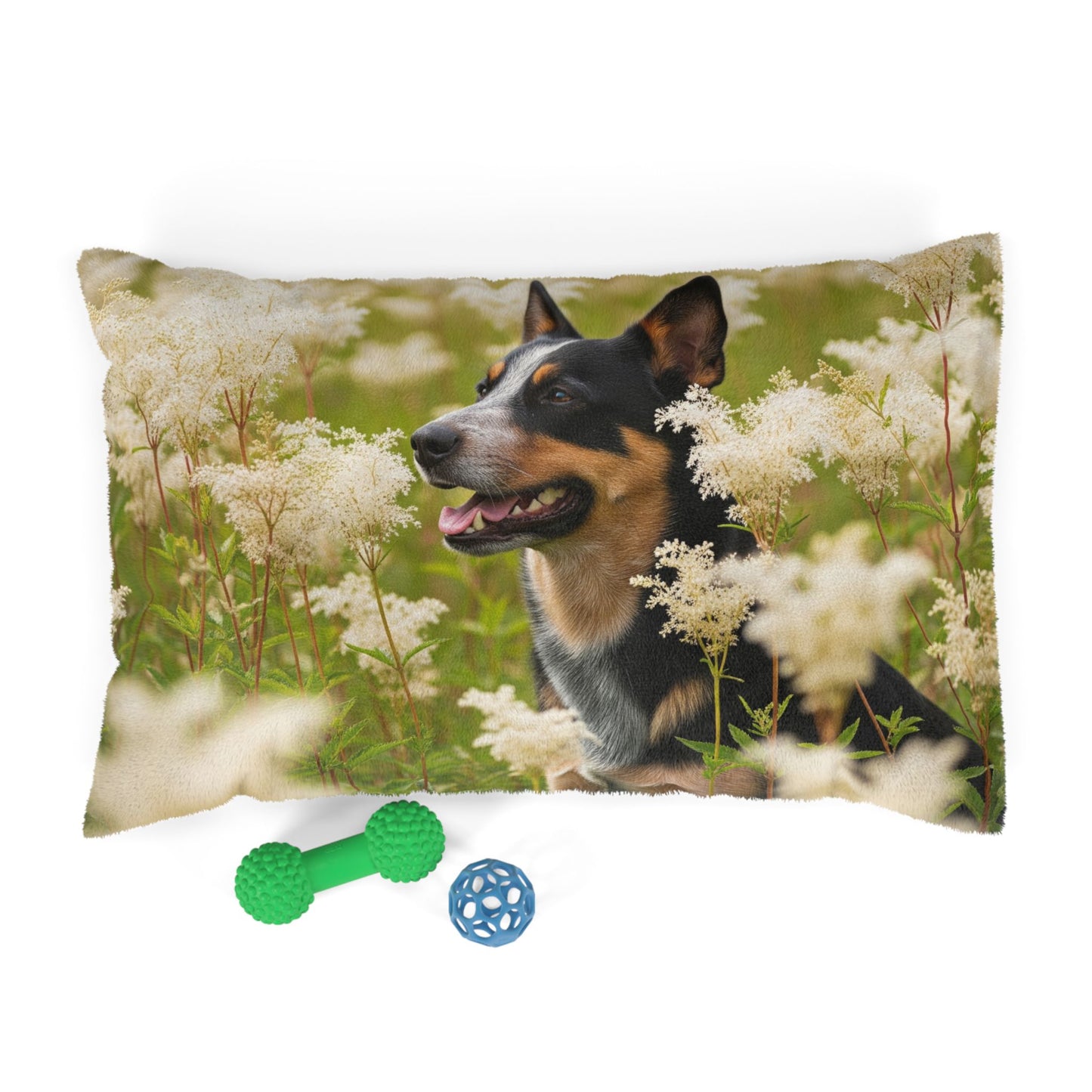 Lancashire Heeler Pet Bed