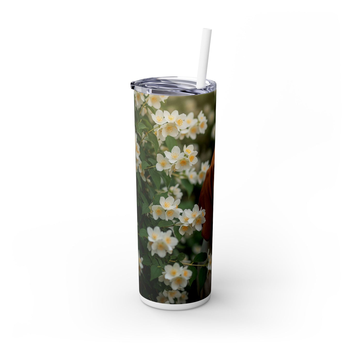 Bracco Italiano Tumbler with Straw, 20oz