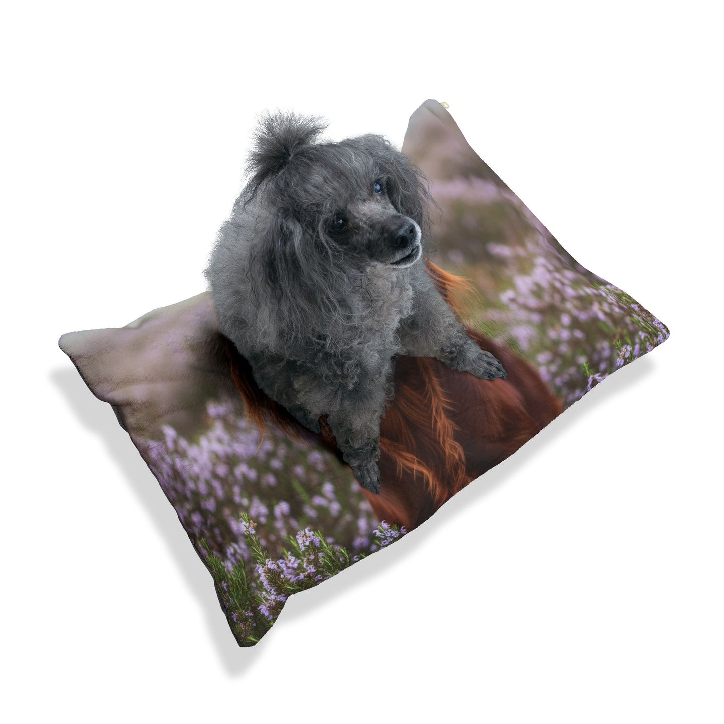 Irish Setter Pet Bed