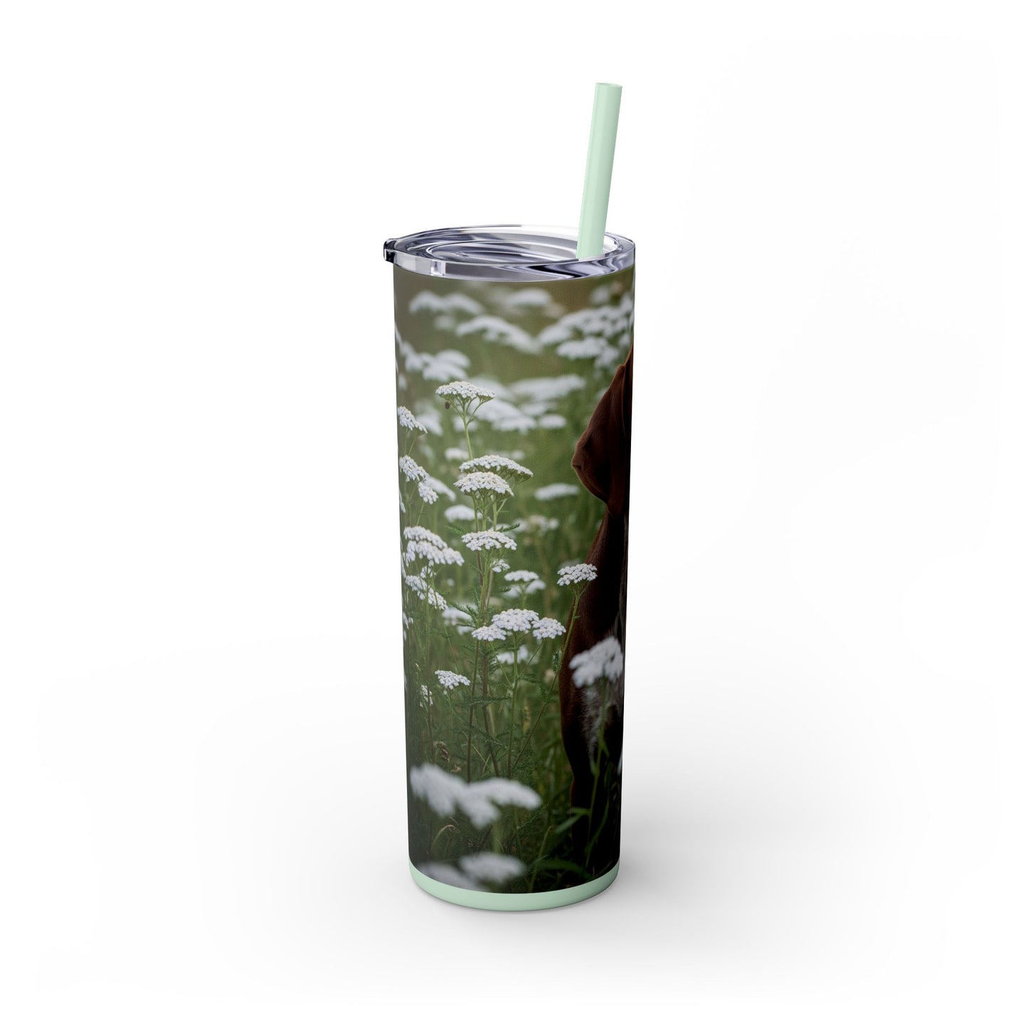 Braque du Bourbonnais Tumbler with Straw, 20oz