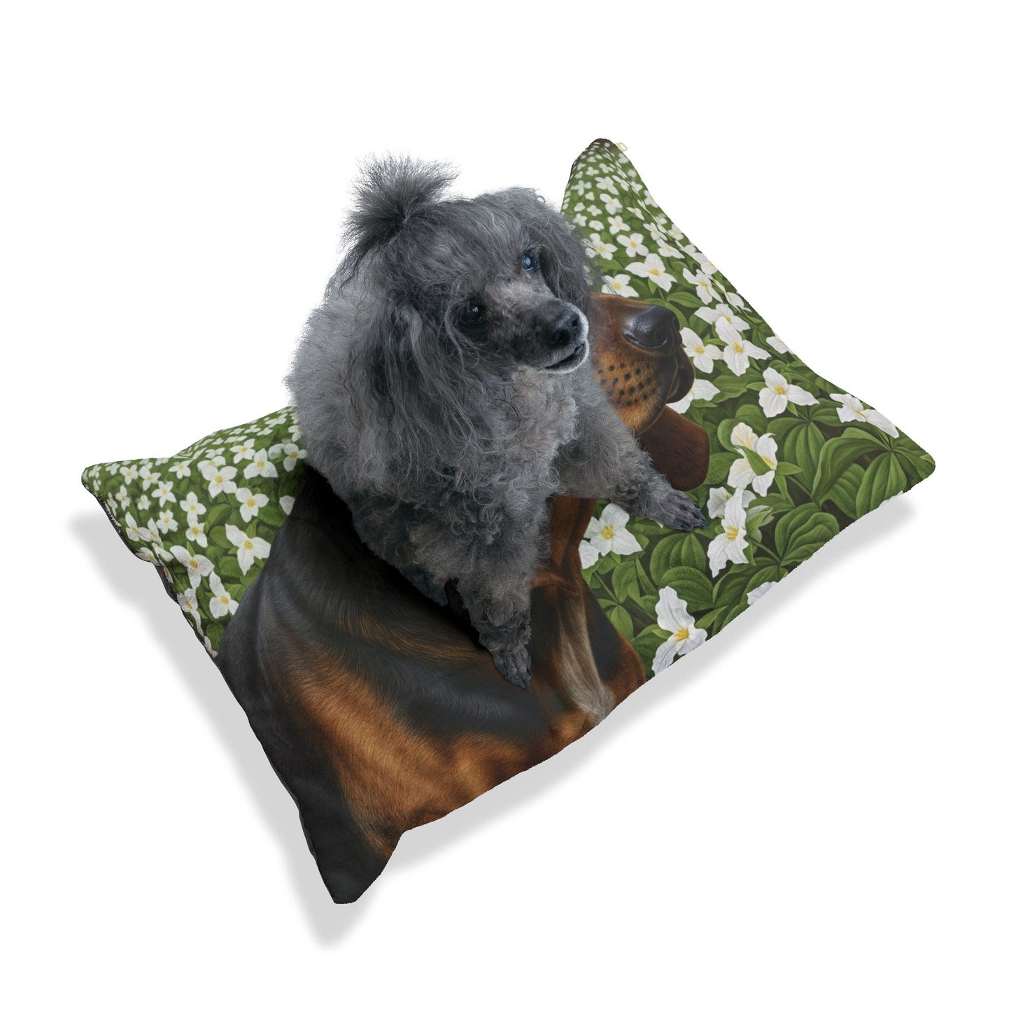 Treeing Walker Coonhound Pet Bed