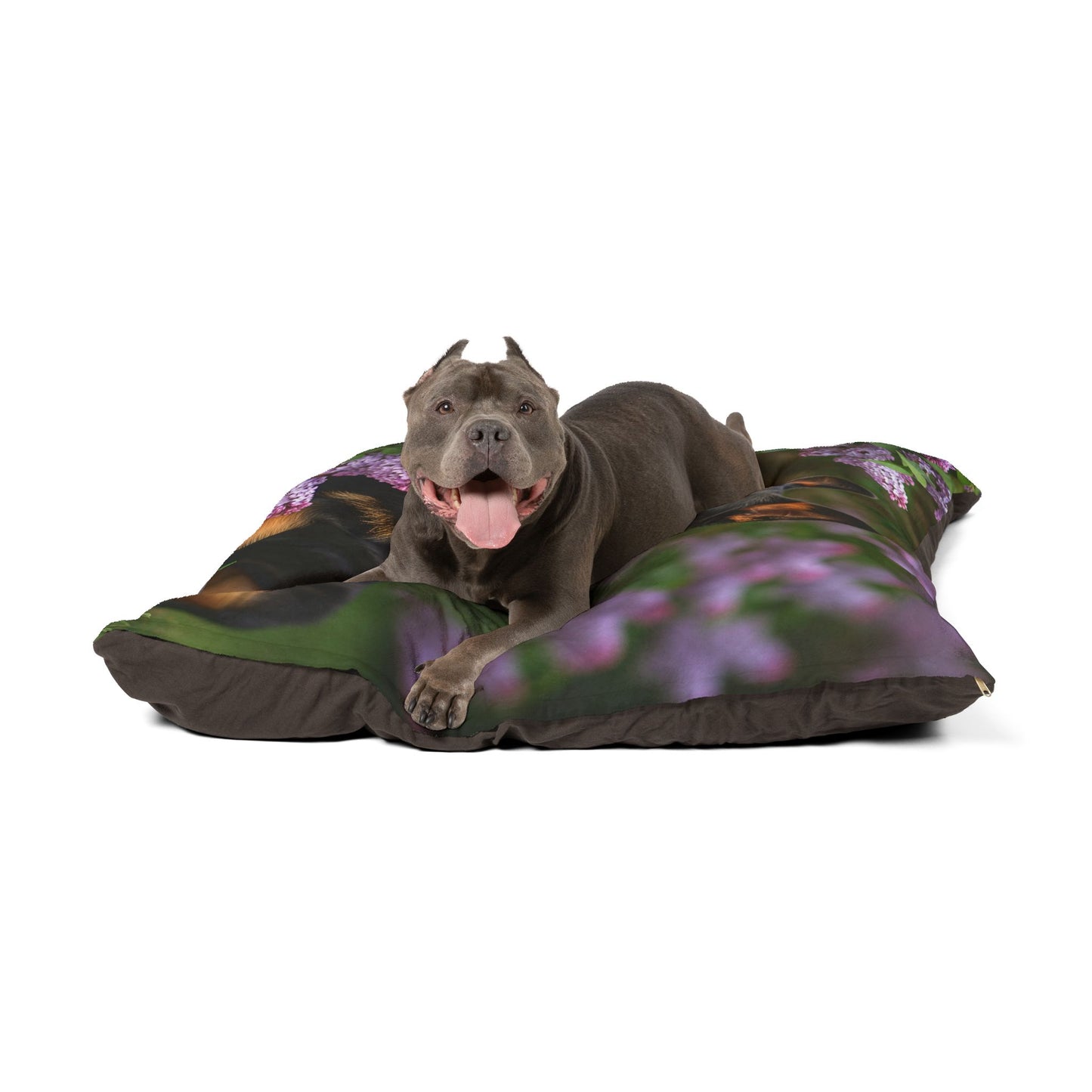 Mudi Pet Bed