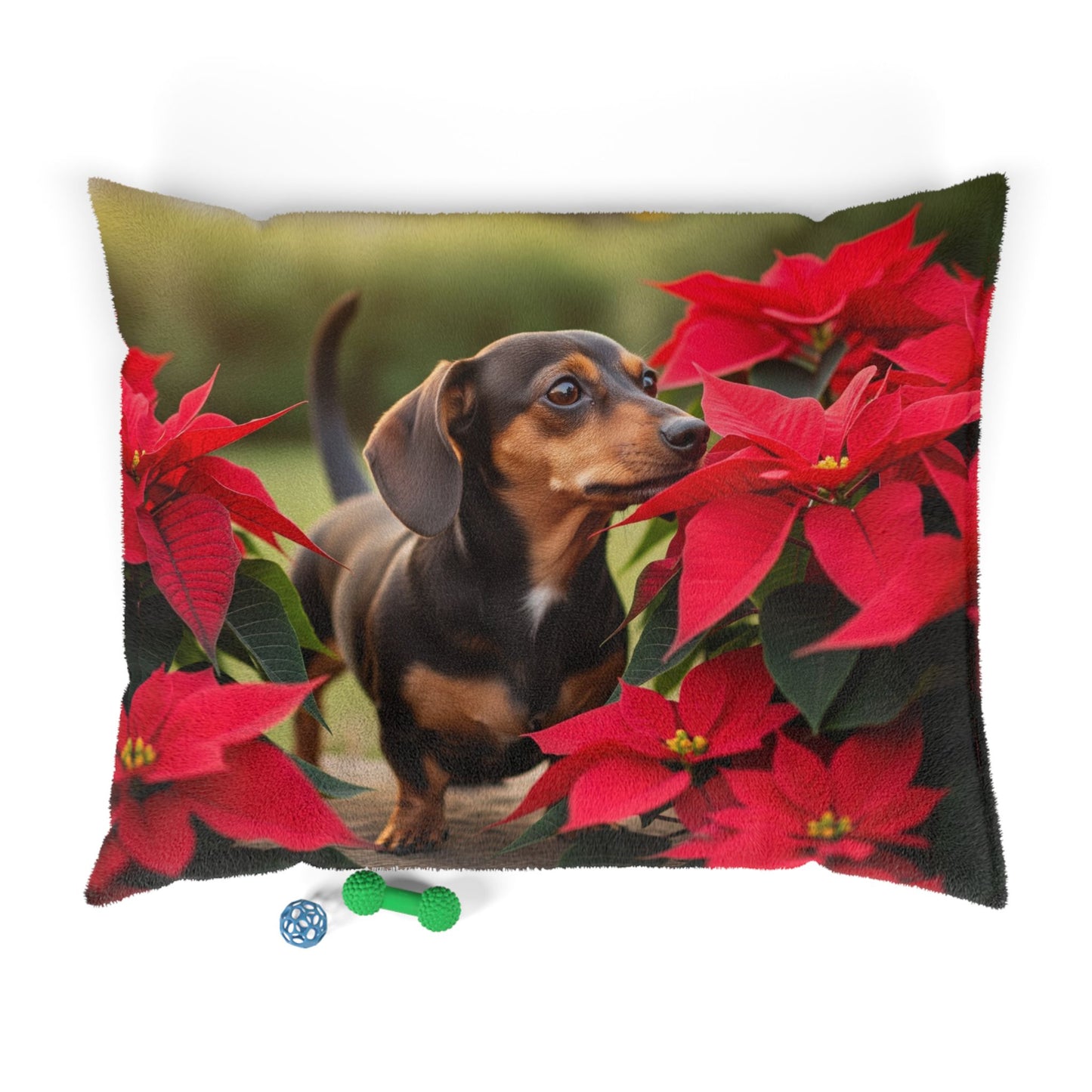 Chiweenie Pet Bed