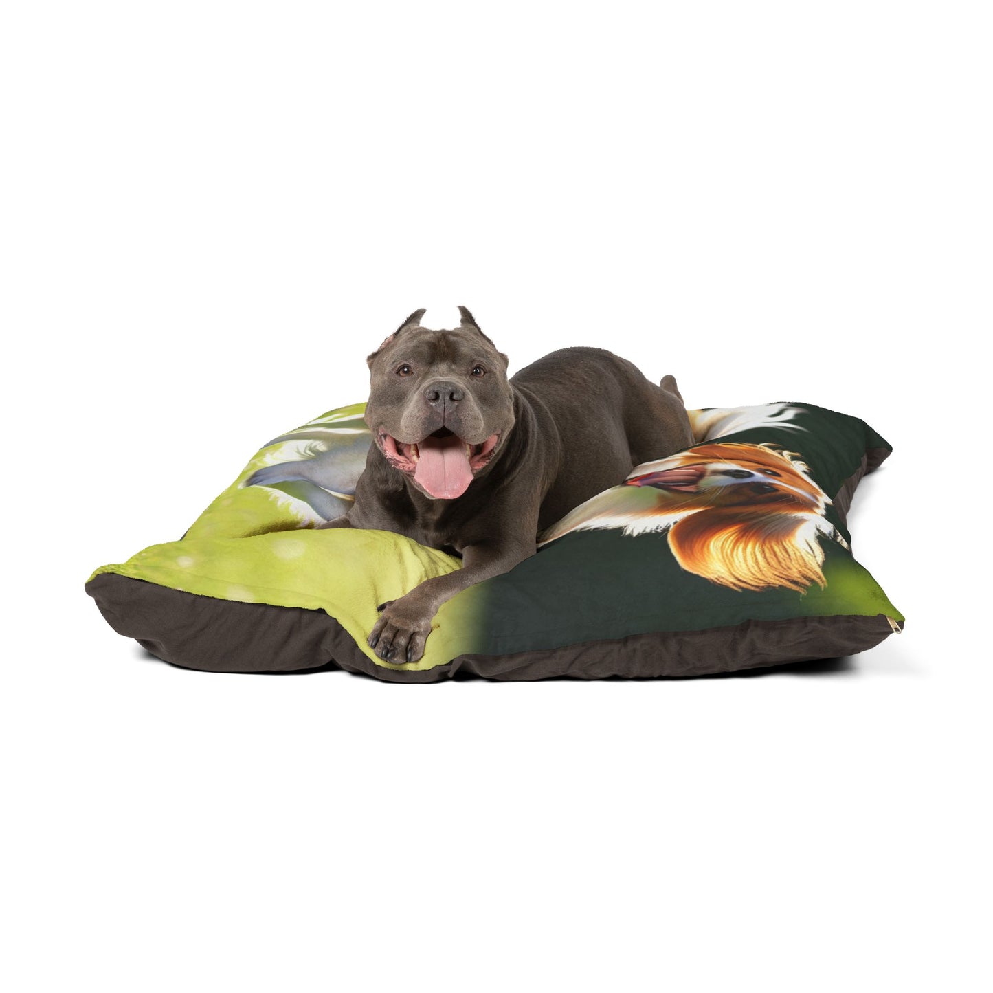 Nederlandse Kooikerhondje Pet Bed